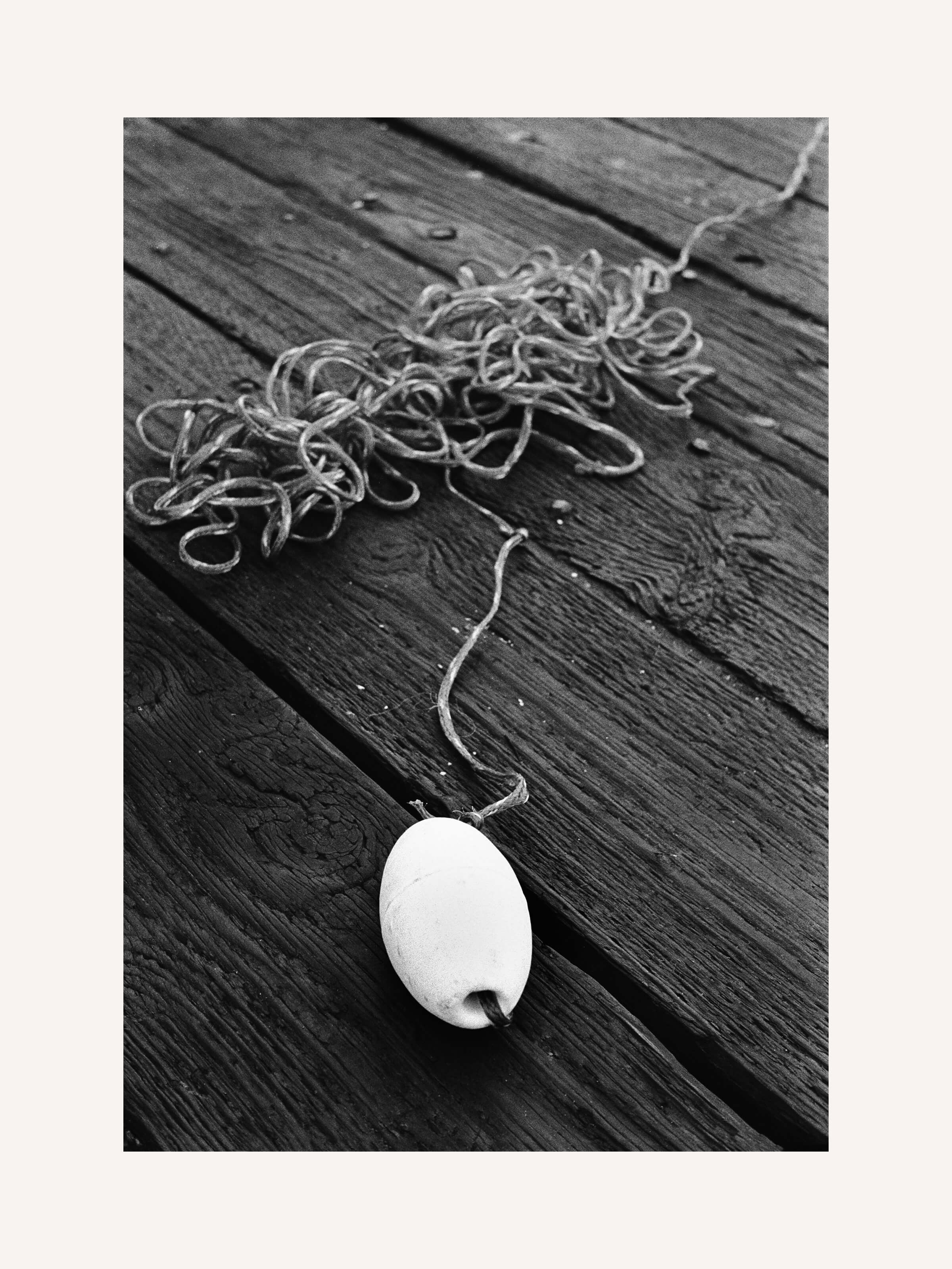 Stephen Vanasco - Untitled - 010 - Mollusk Surf Shop