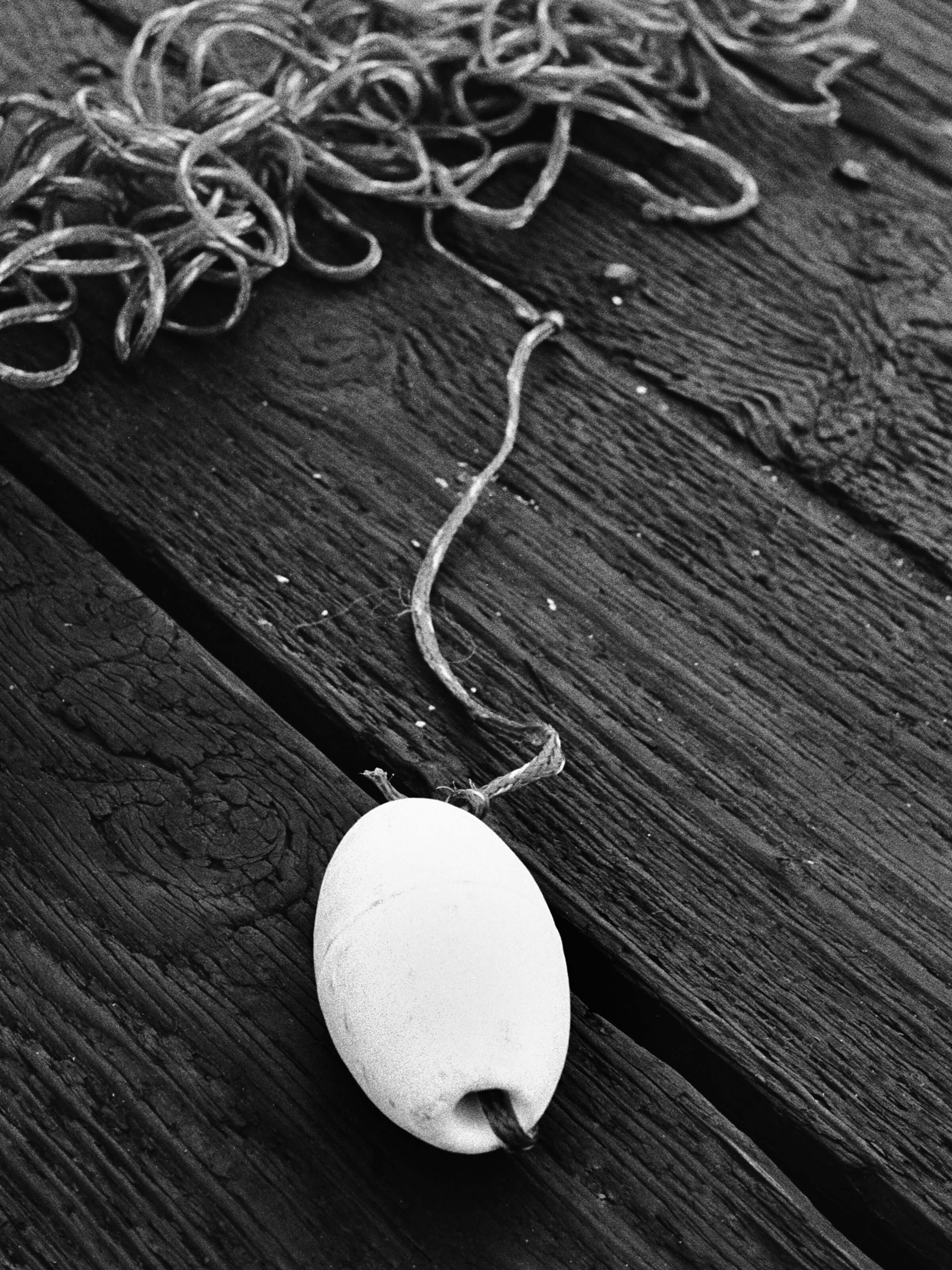 Stephen Vanasco - Untitled - 010 - Mollusk Surf Shop