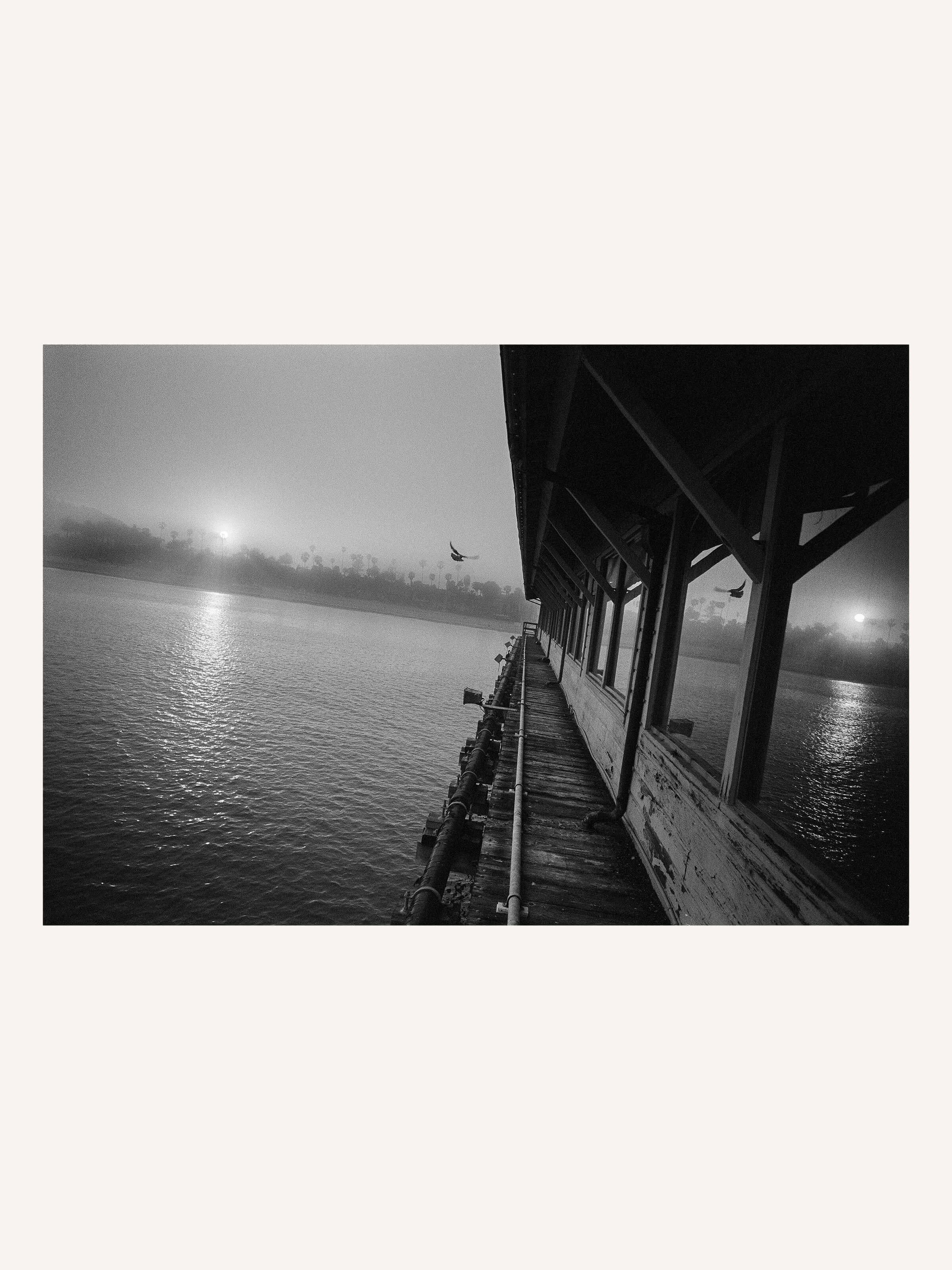 Stephen Vanasco - Untitled - 011 - Mollusk Surf Shop