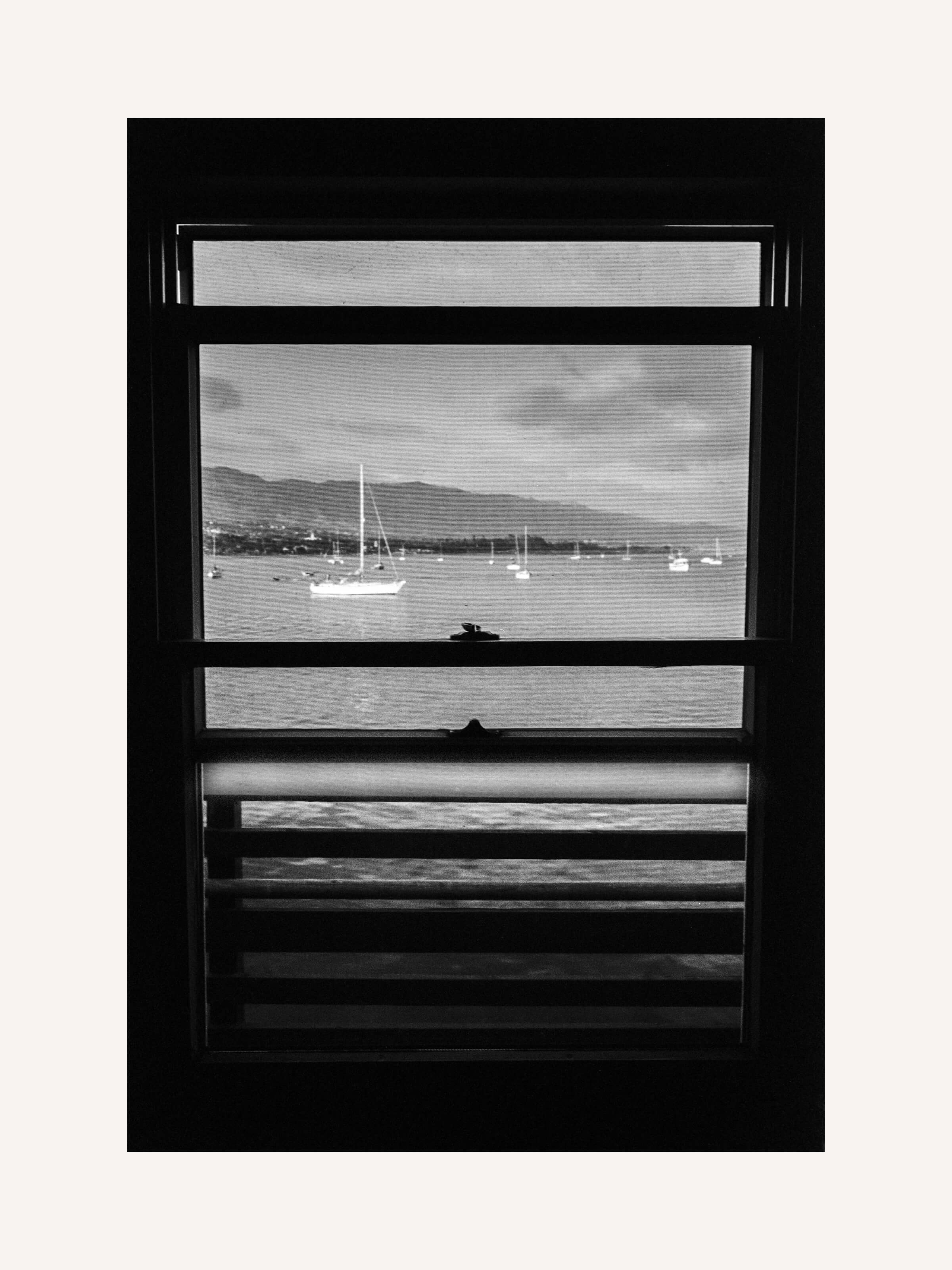 Stephen Vanasco - Untitled - 017 - Mollusk Surf Shop