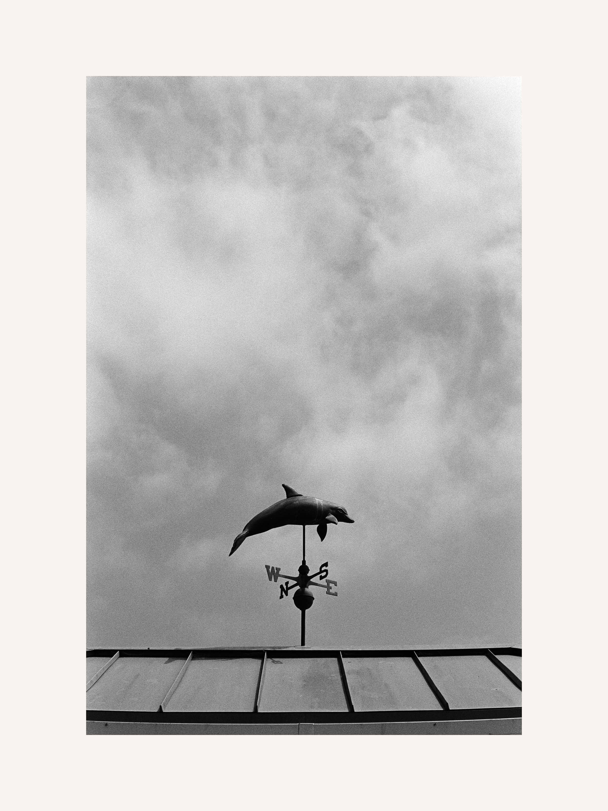 Stephen Vanasco - Untitled - 020 - Mollusk Surf Shop