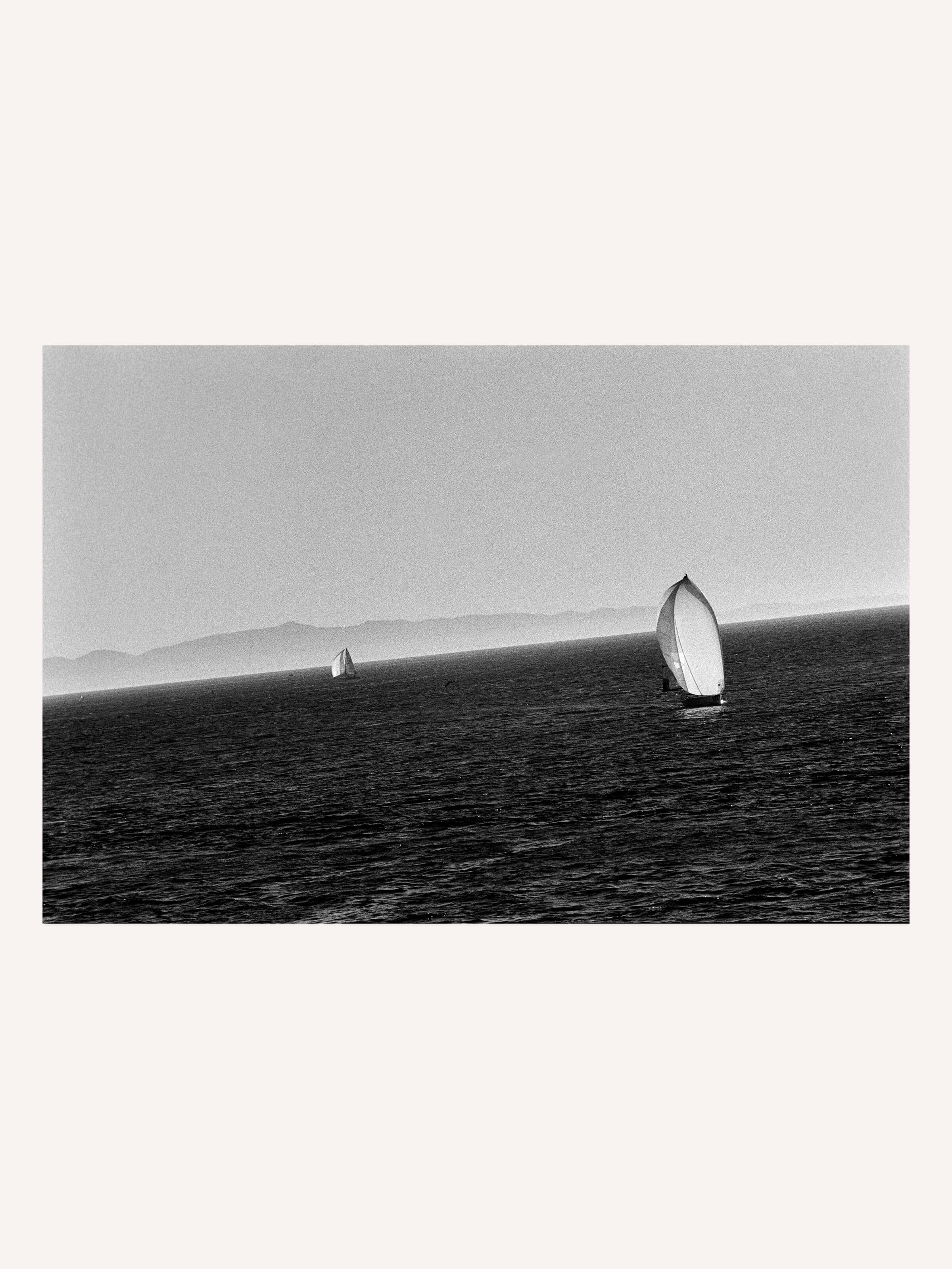 Stephen Vanasco - Untitled - 024 - Mollusk Surf Shop