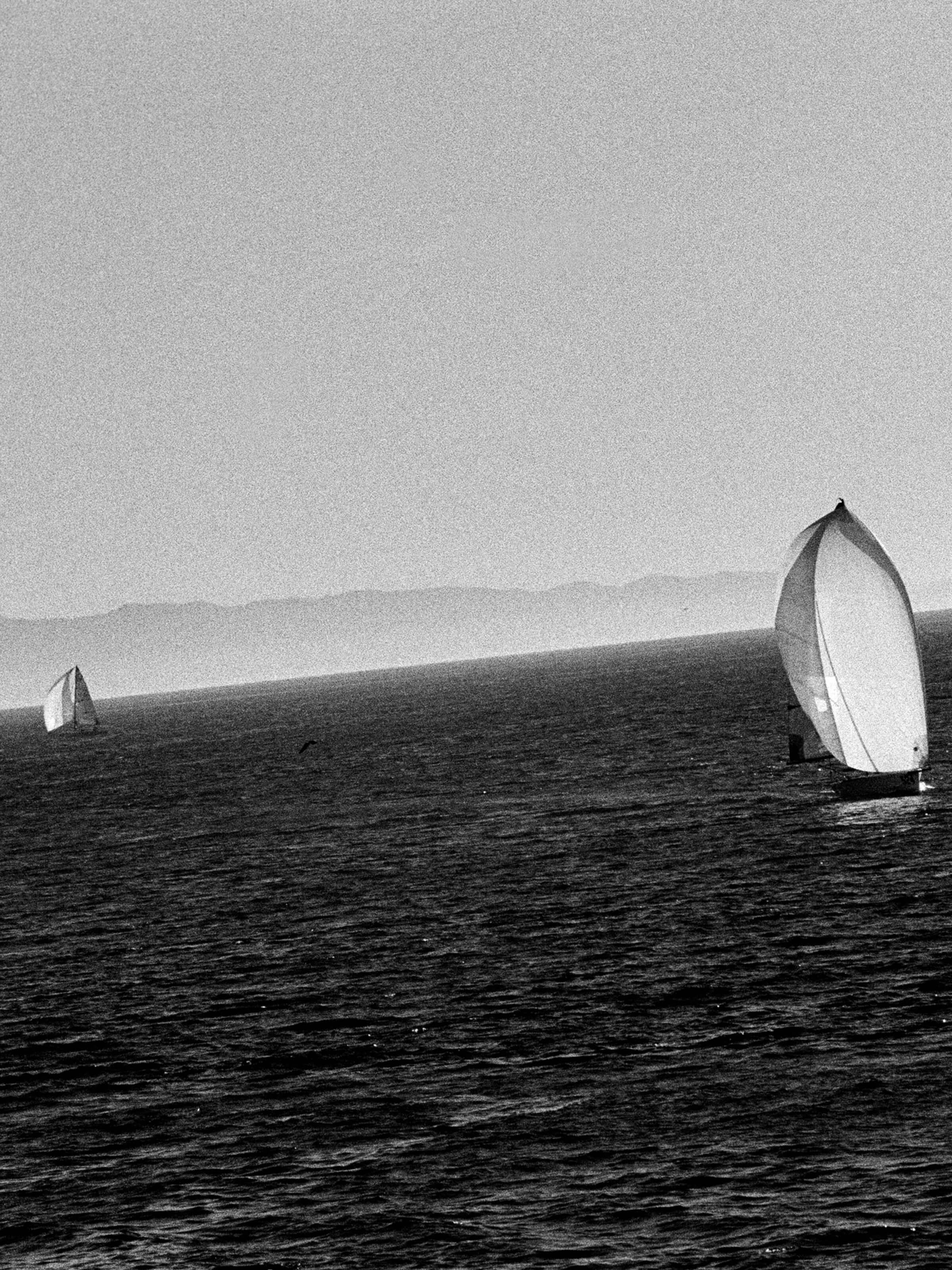 Stephen Vanasco - Untitled - 024 - Mollusk Surf Shop