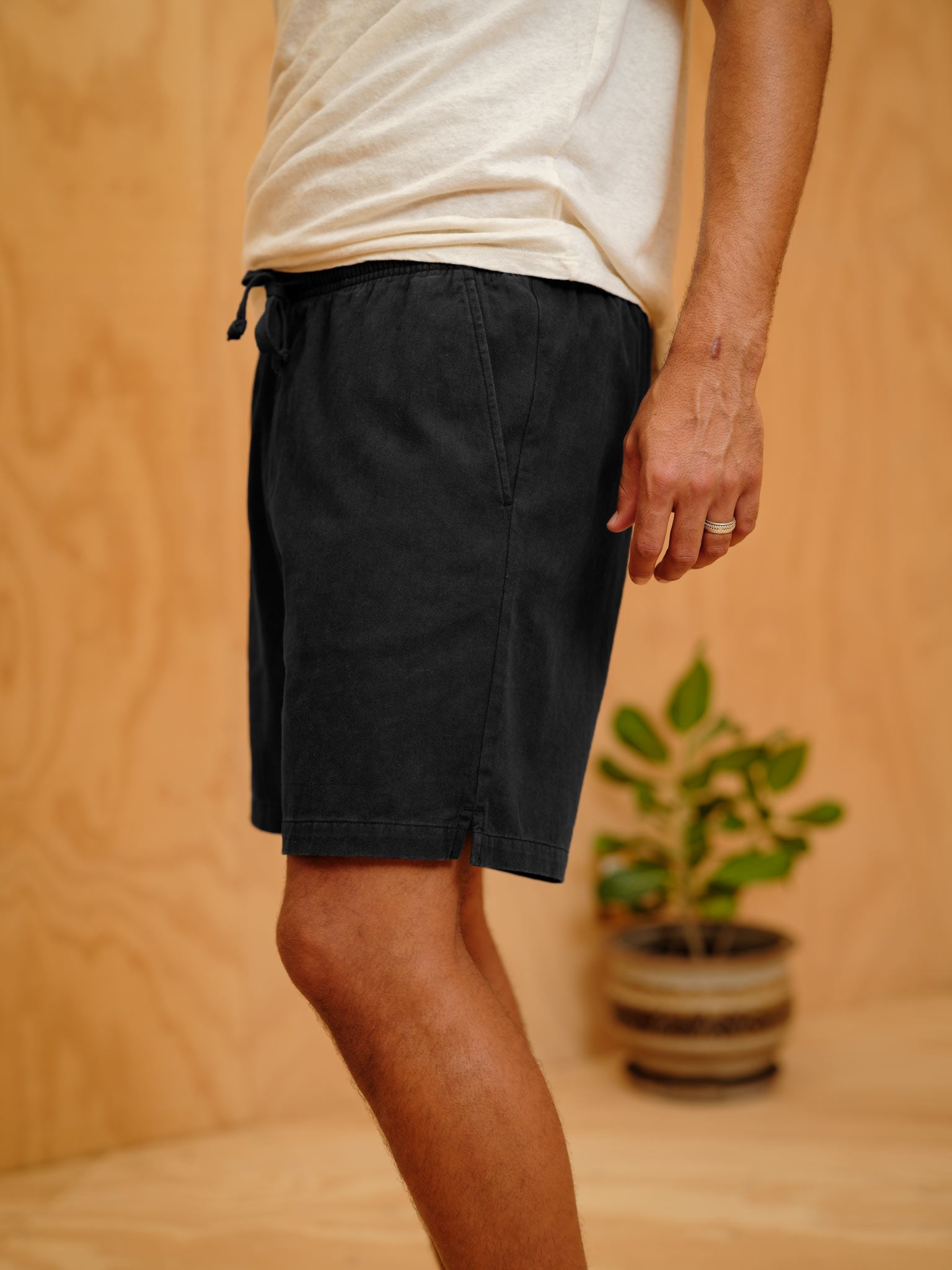Summer Shorts - S - Mollusk Surf Shop