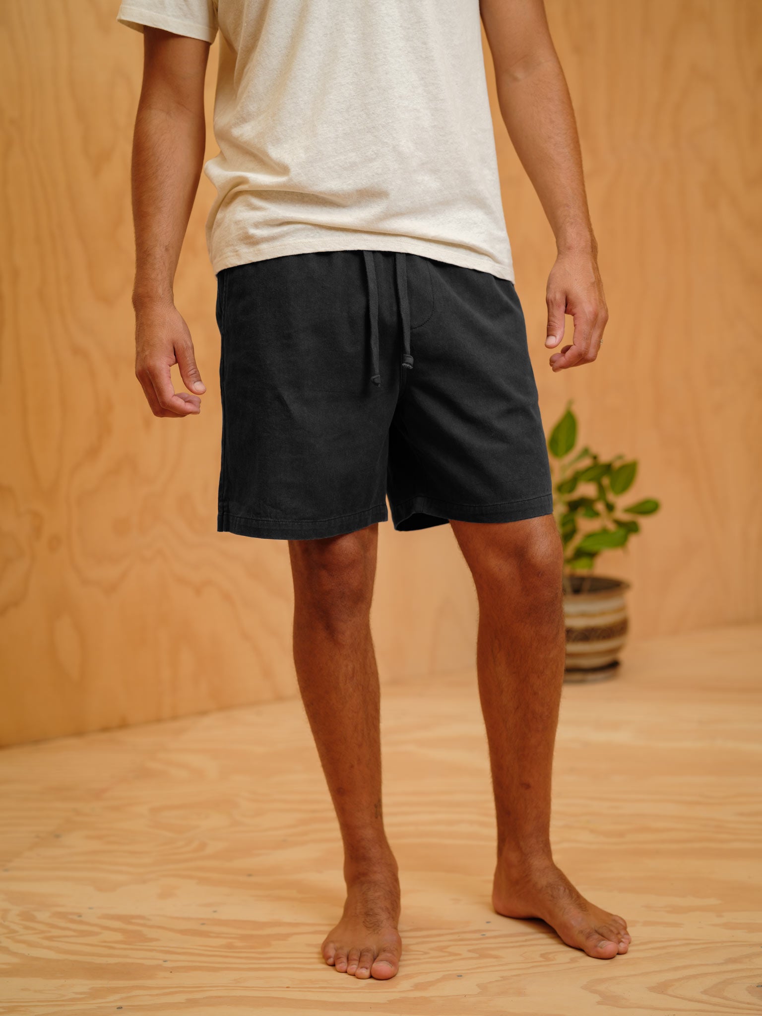 Summer Shorts - S - Mollusk Surf Shop