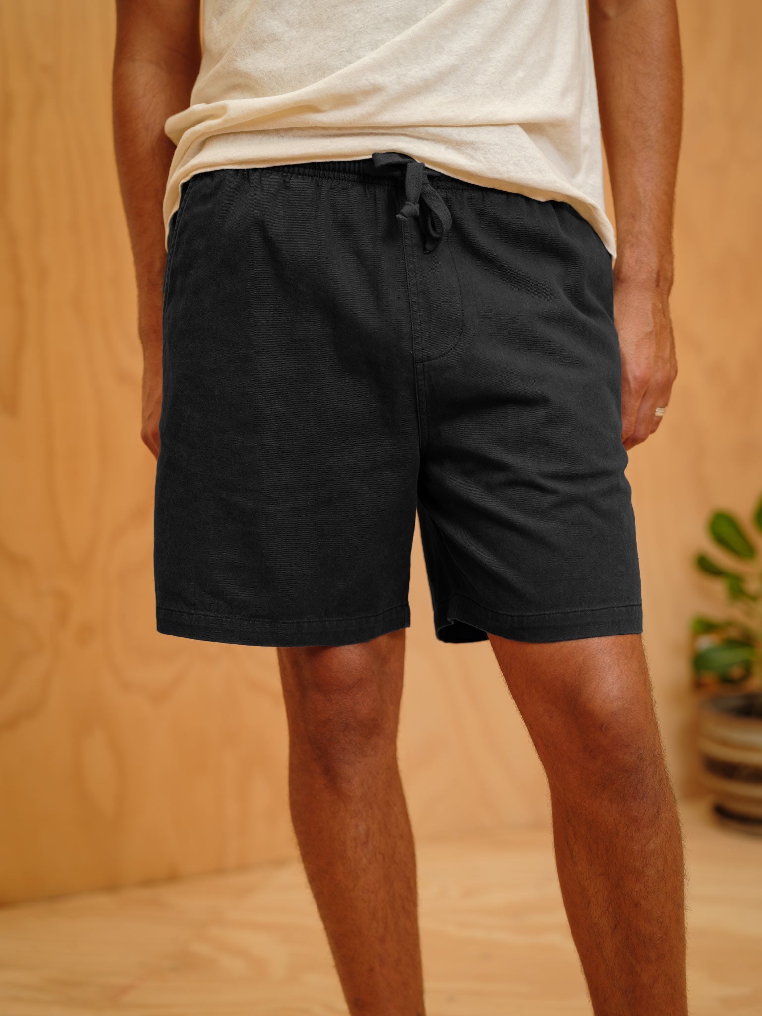 Summer Shorts - S - Mollusk Surf Shop