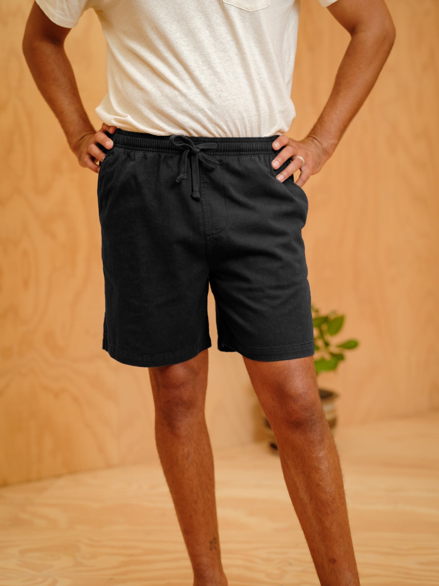 Summer Shorts - S - Mollusk Surf Shop