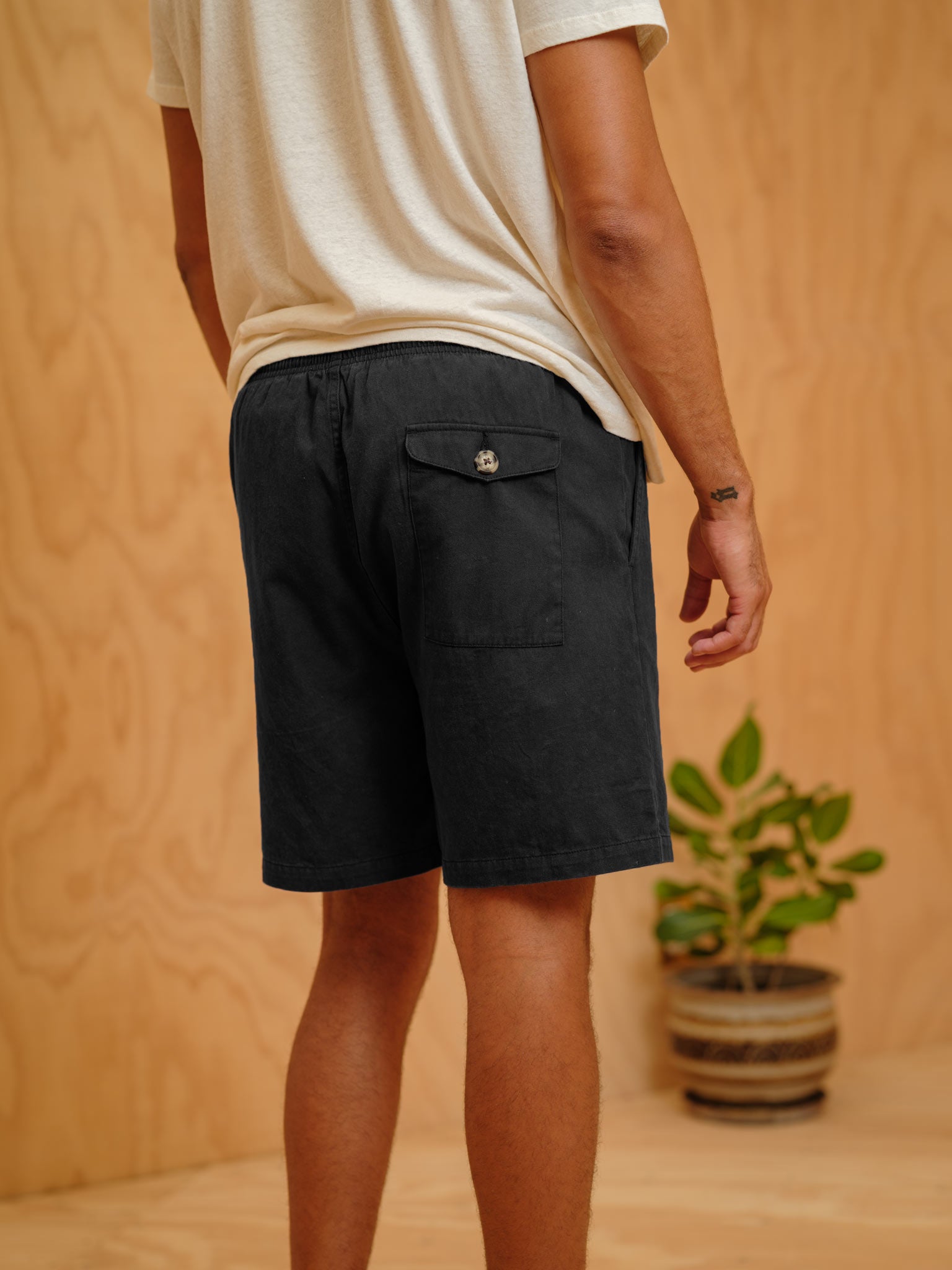 Summer Shorts - S - Mollusk Surf Shop