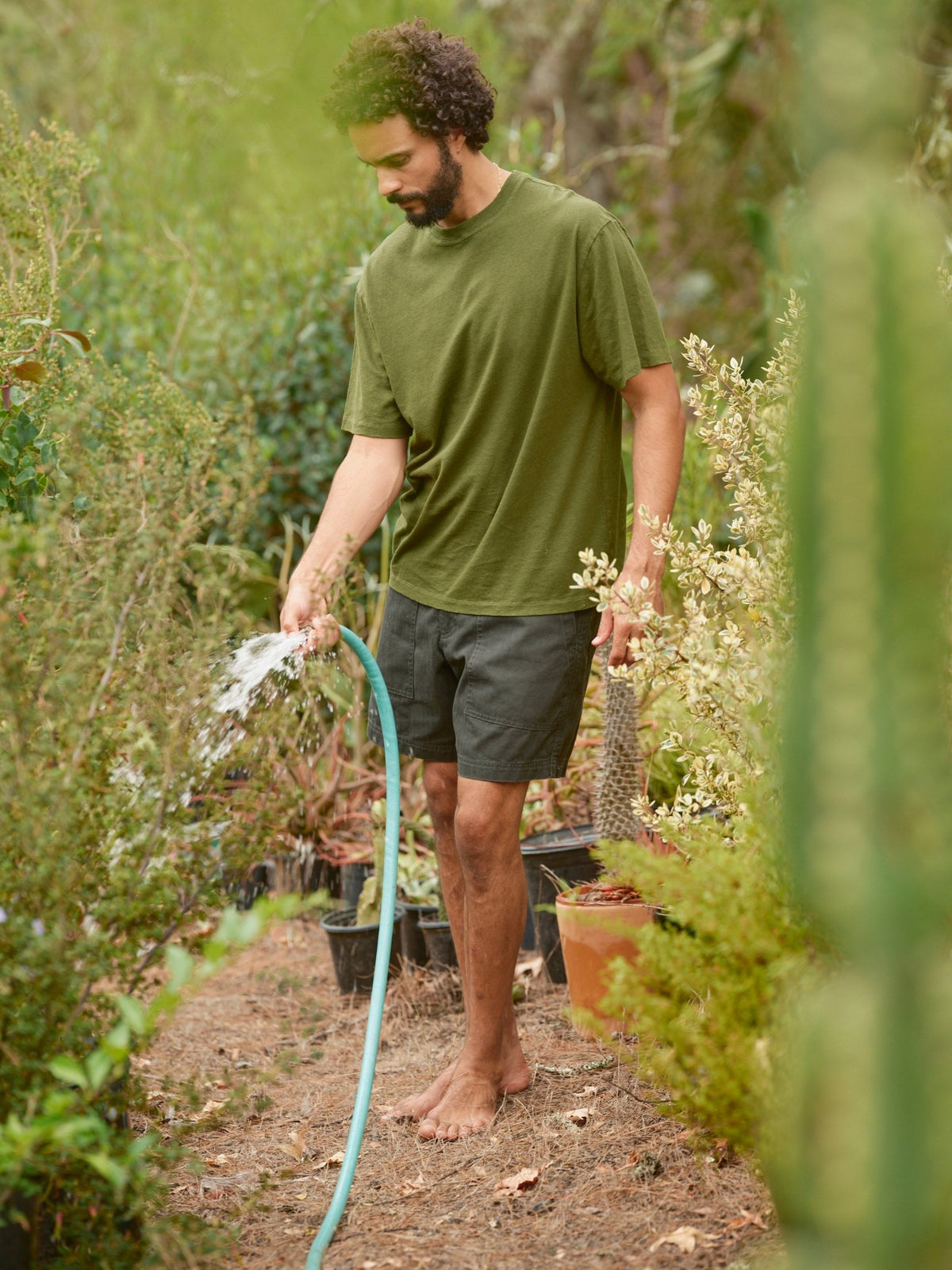 Surplus Shorts - 28.0 - Mollusk Surf Shop