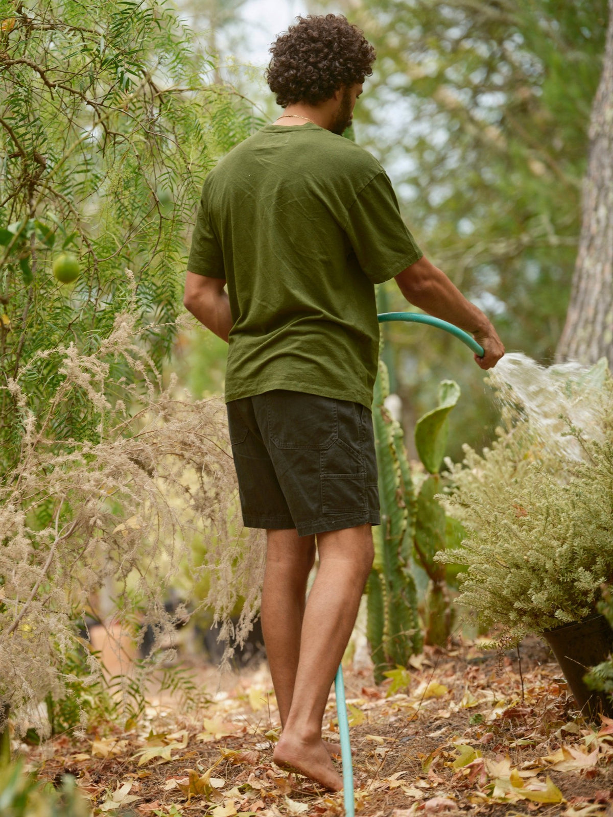 Surplus Shorts - 28.0 - Mollusk Surf Shop