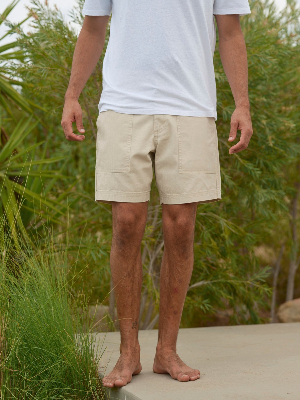 Surplus Shorts - 28.0 - Mollusk Surf Shop