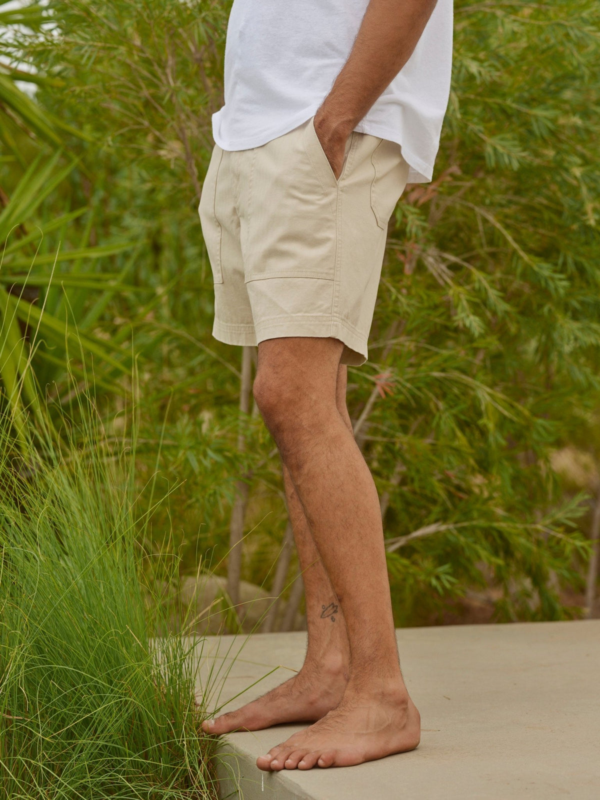 Surplus Shorts - 28.0 - Mollusk Surf Shop