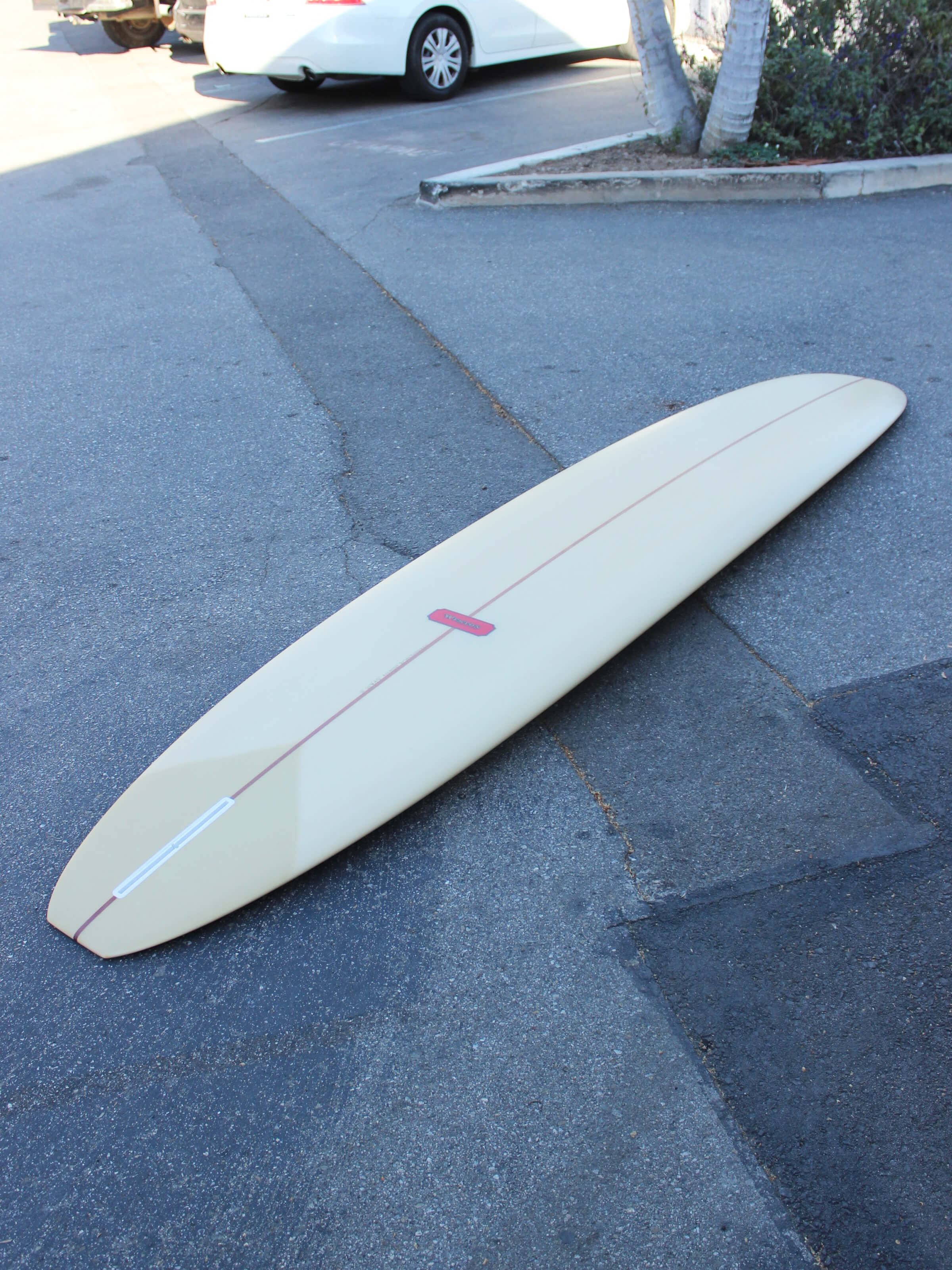 10' Weston Axis - Mollusk Surf Shop - description