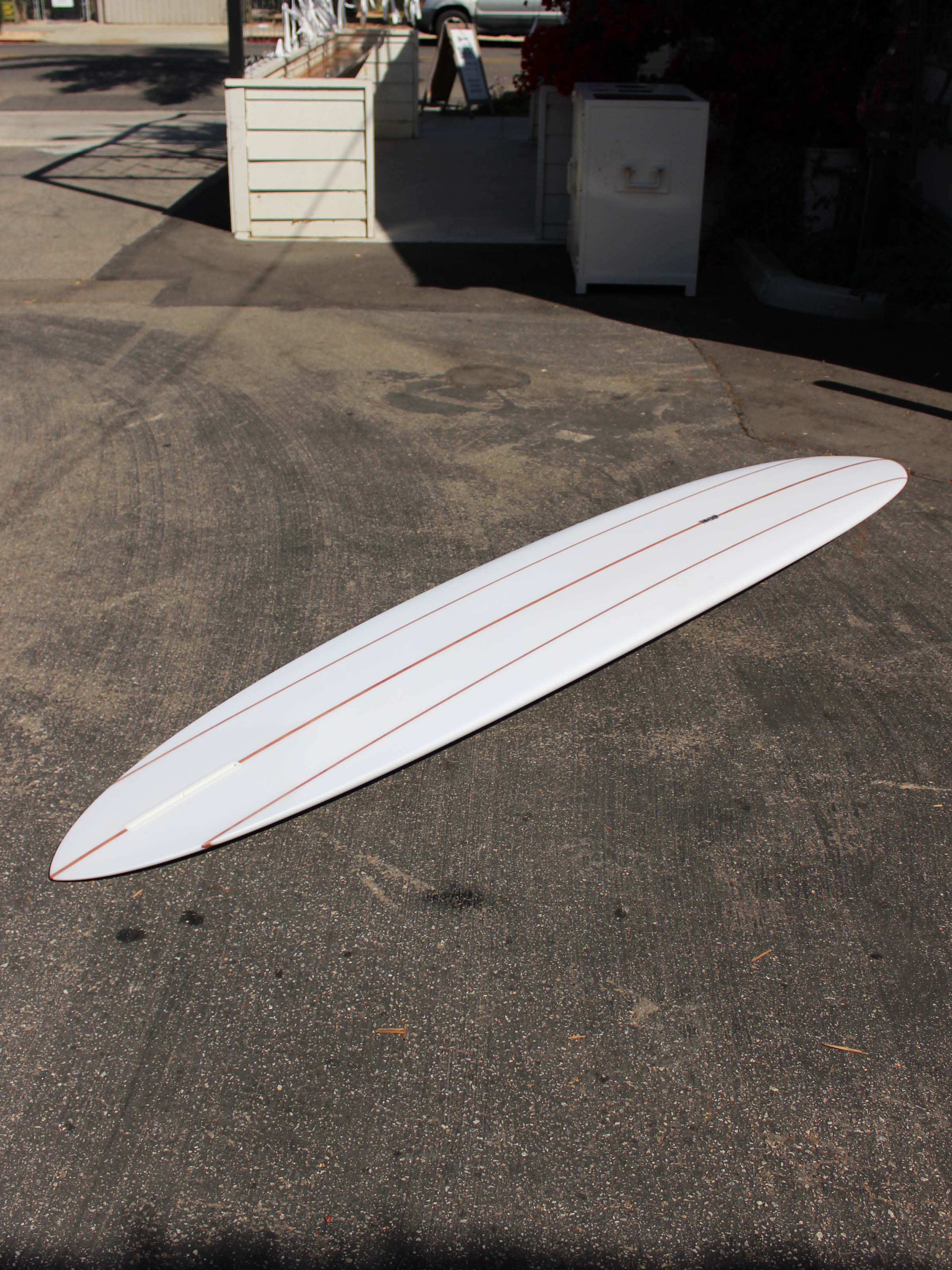 10'1 Arenal Glider - Mollusk Surf Shop