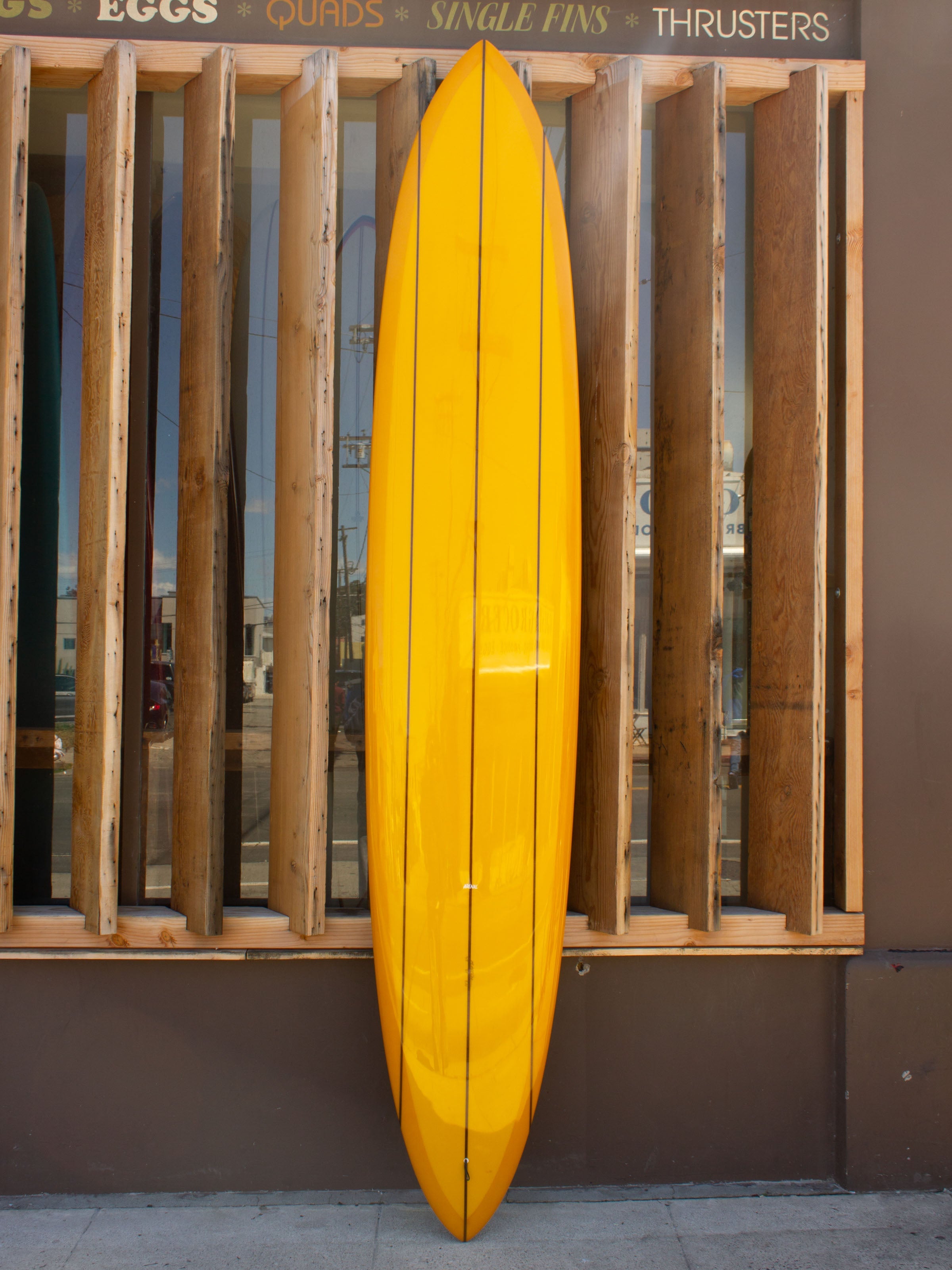 10'6 Arenal Double Rainbow - Mollusk Surf Shop