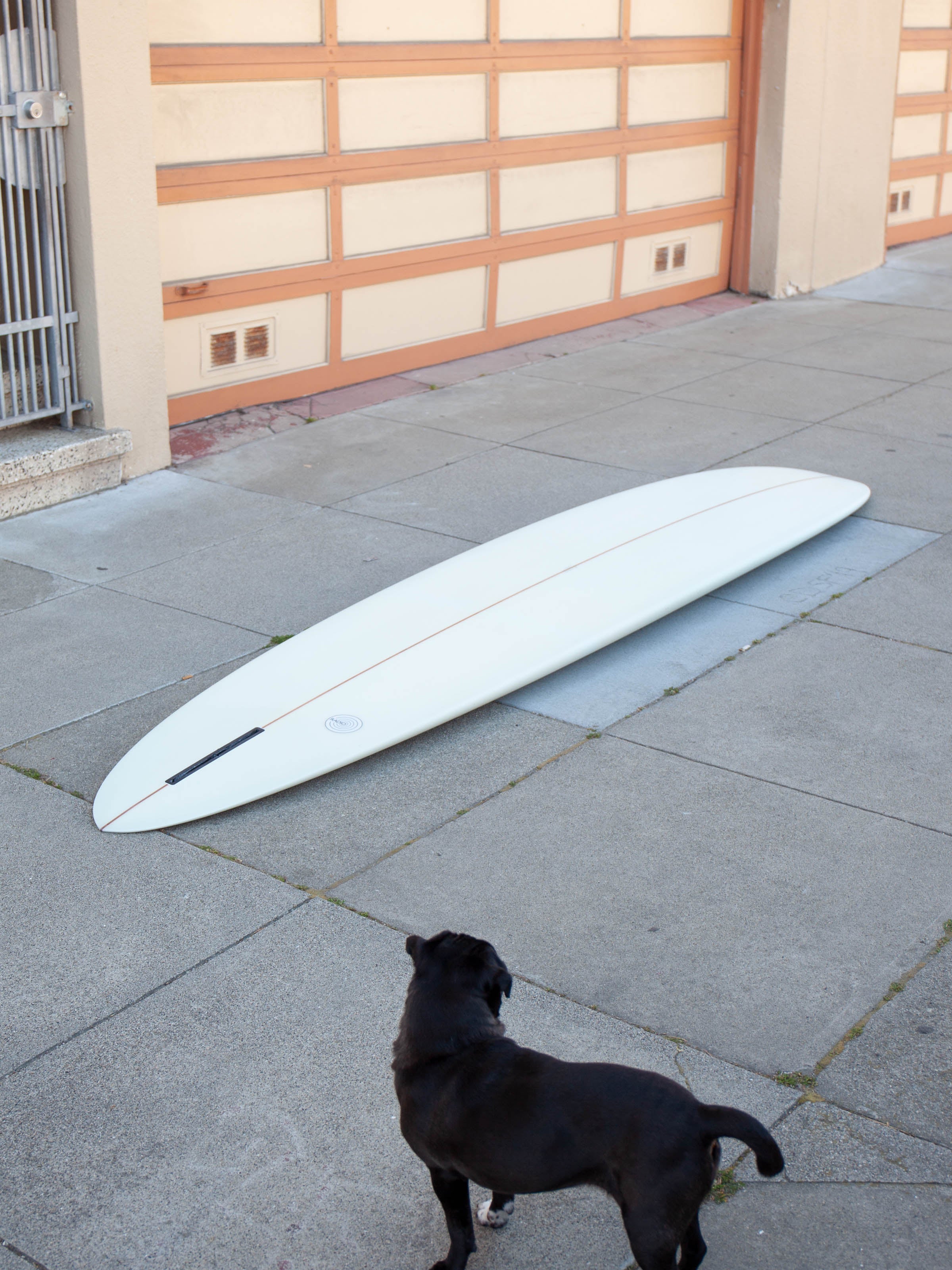 10'6 Radio Power Glider - Mollusk Surf Shop
