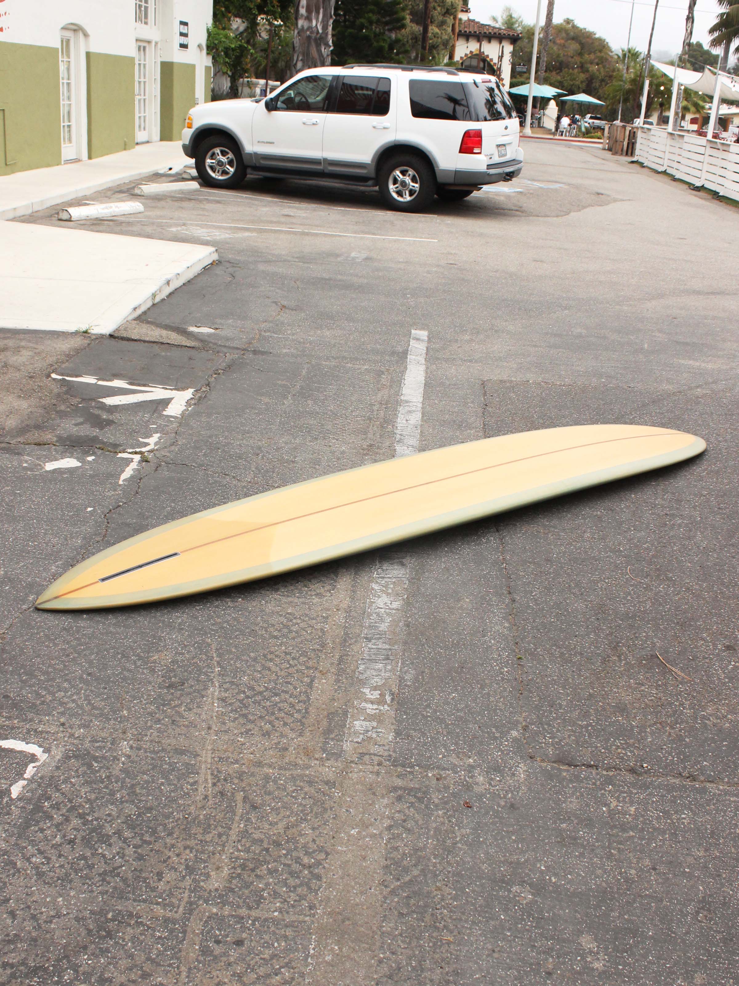 10'6 Travis Reynolds Dream Catcher - Mollusk Surf Shop