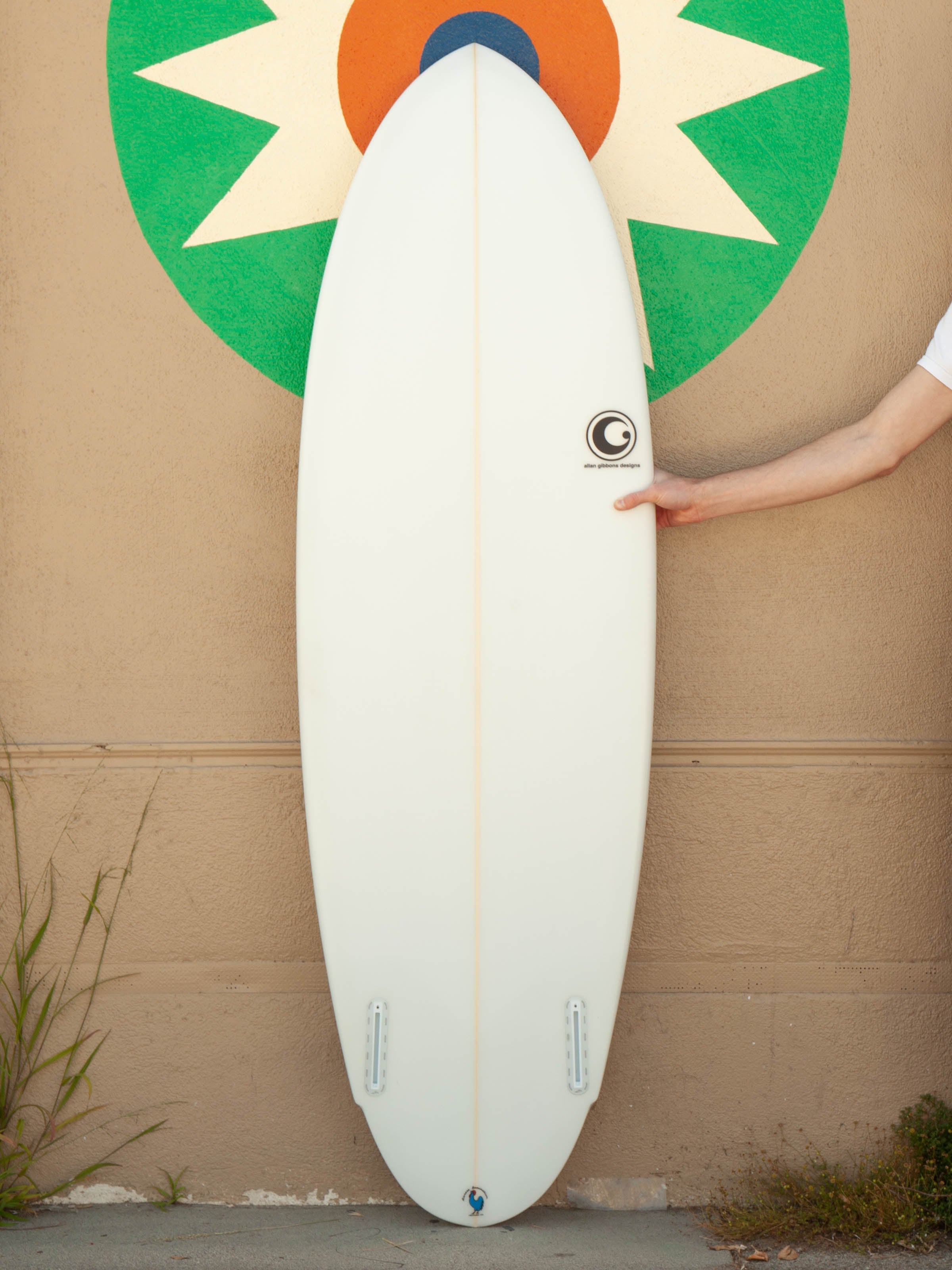 5'10 Allan Gibbons Twin Egg - Mollusk Surf Shop