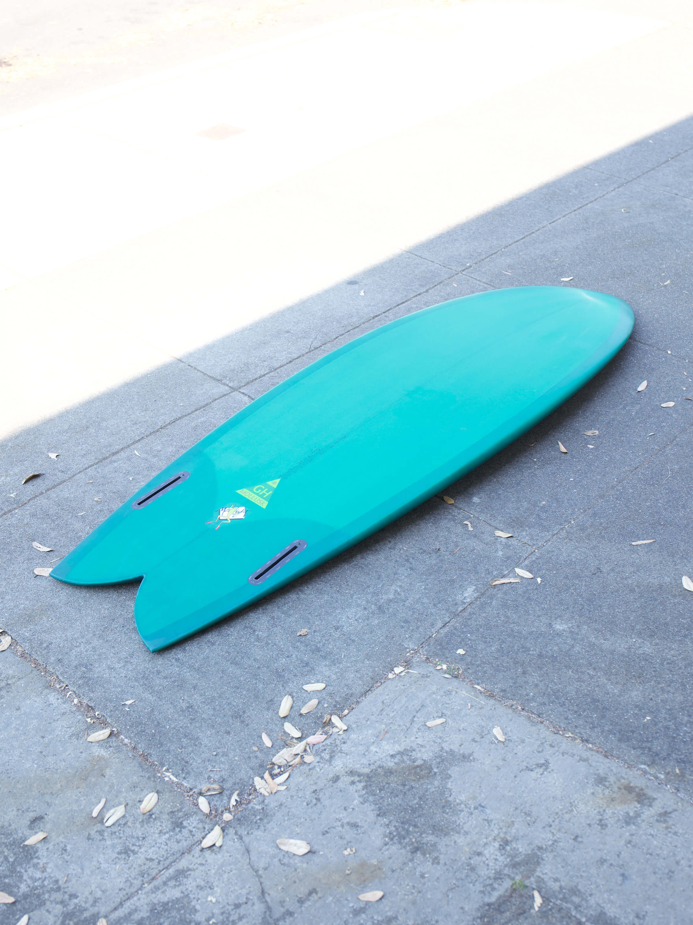 5'10 Hanel C-Fish - Mollusk Surf Shop