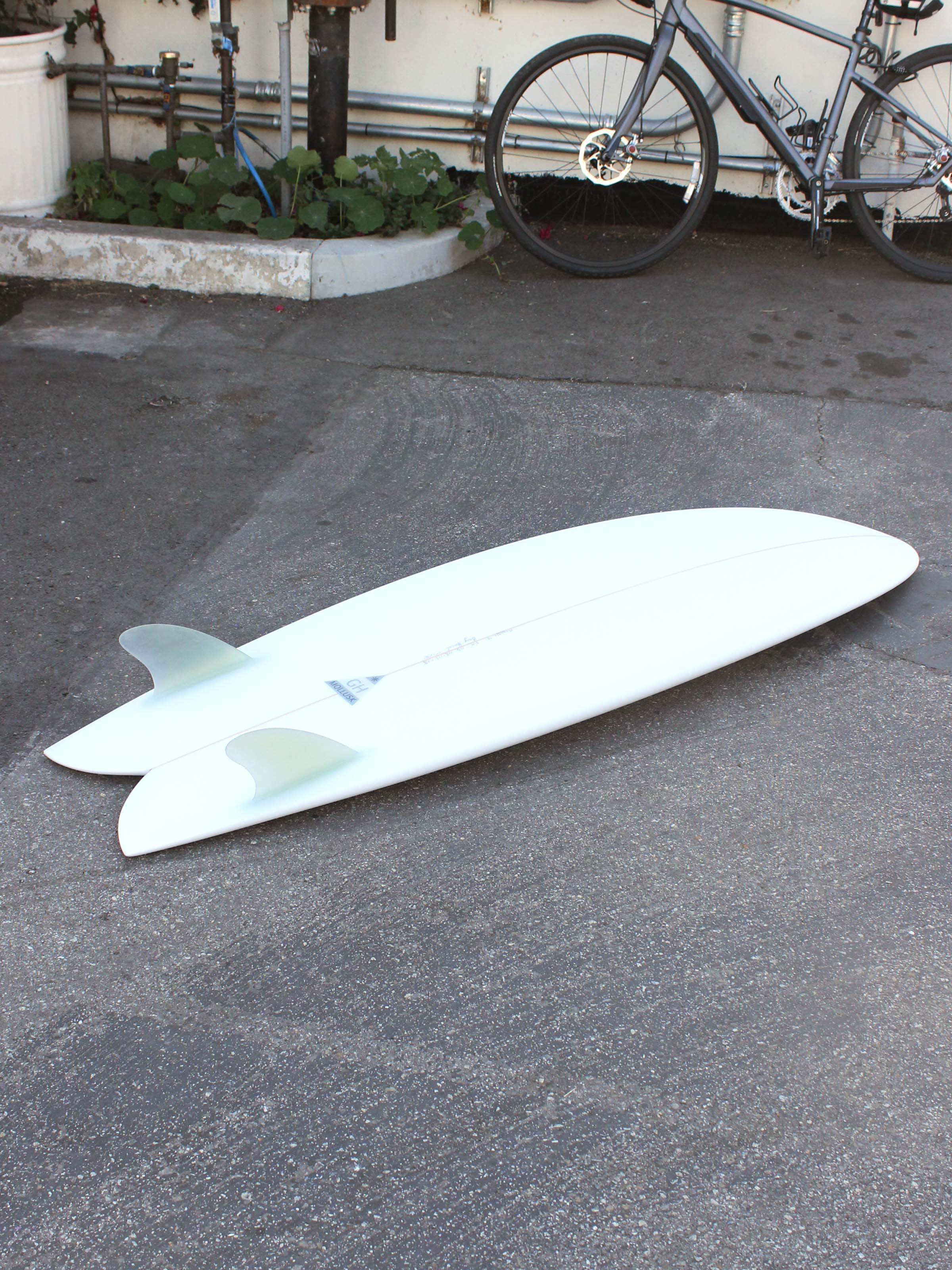 5'10 Hanel C Fish - Mollusk Surf Shop