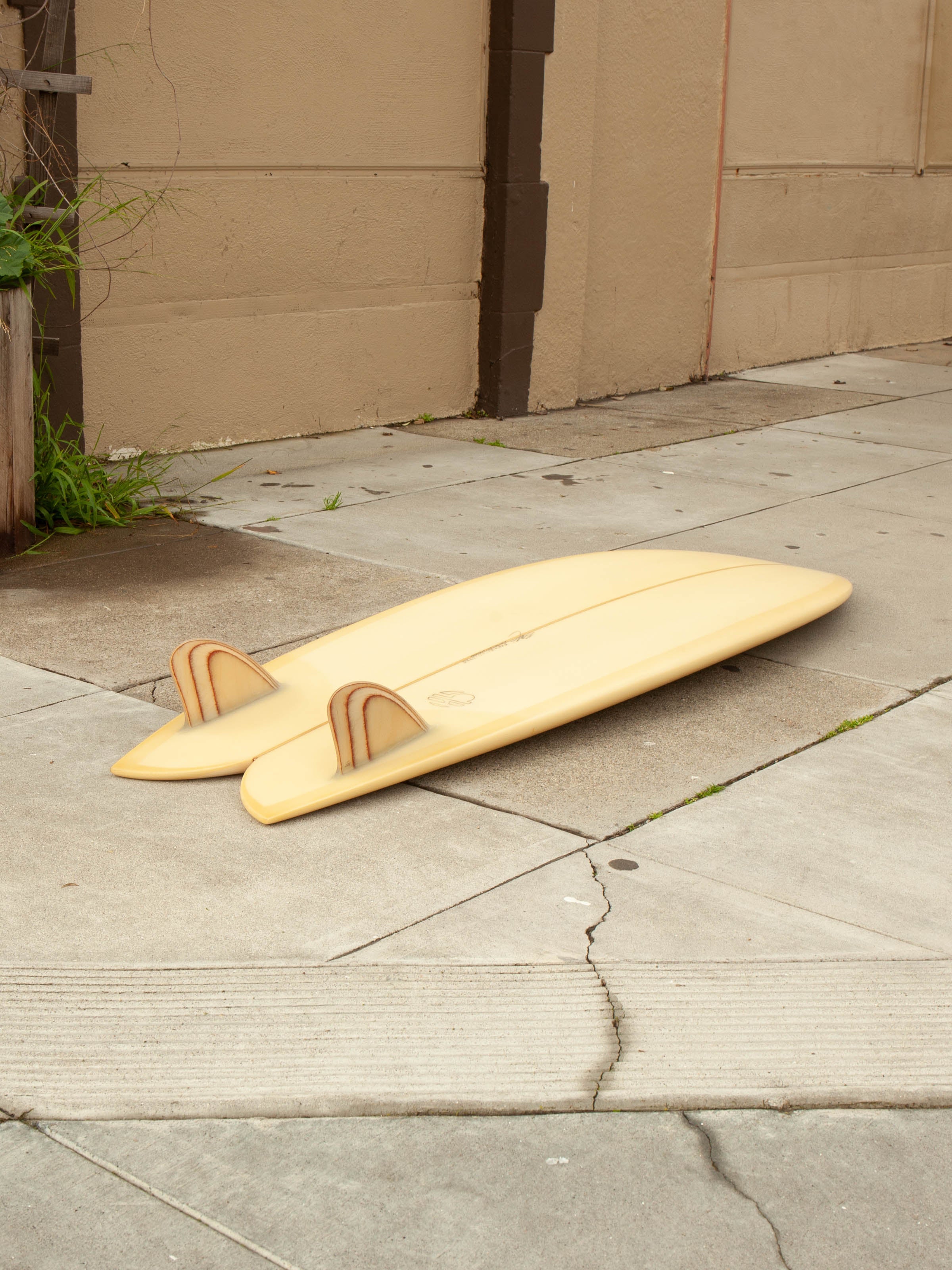 5'10 Mitsven Fish - Mollusk Surf Shop