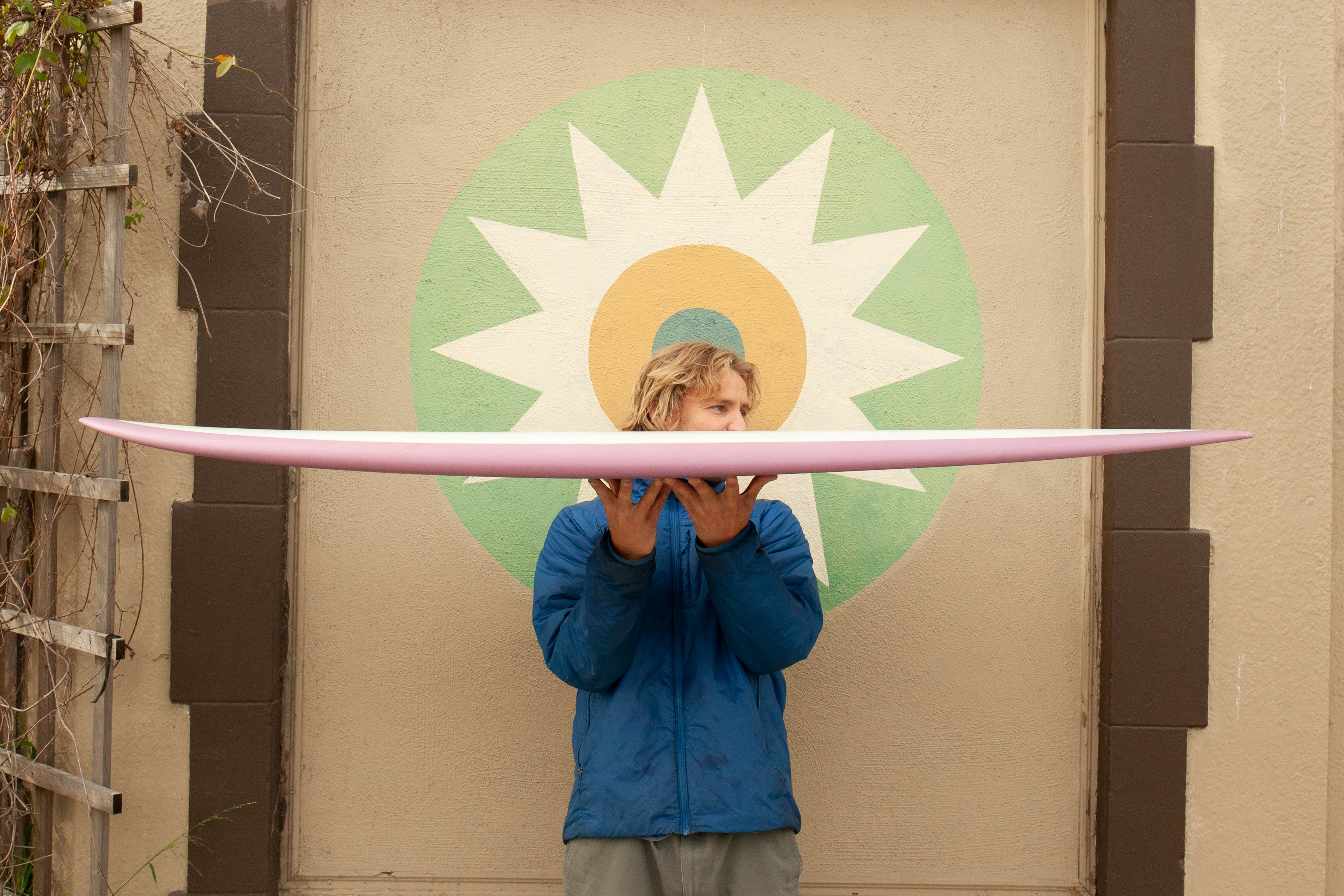 5'10 Radio Classic Fish - Grape - Mollusk Surf Shop