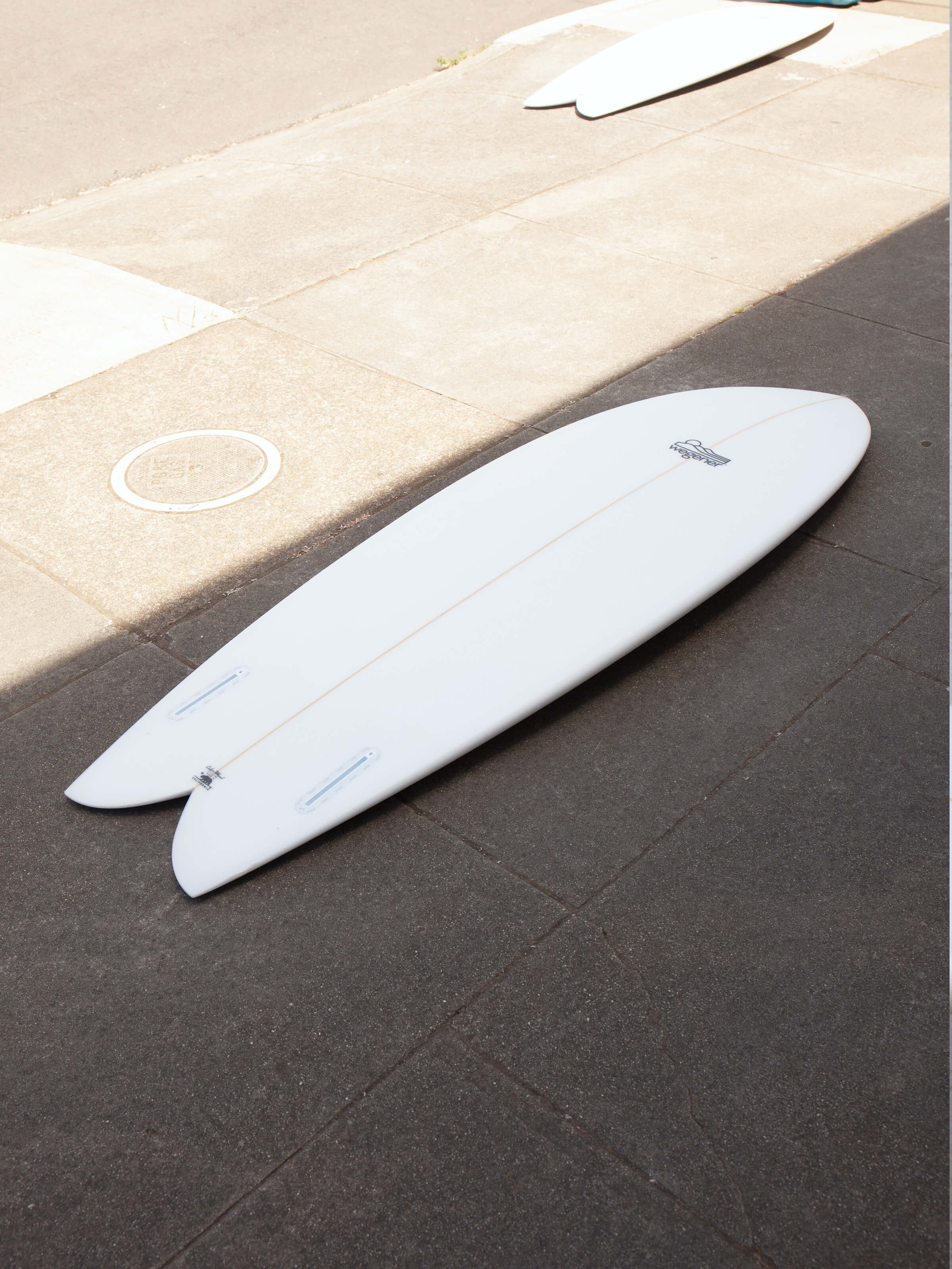 5'10 Wegener Fish - Mollusk Surf Shop