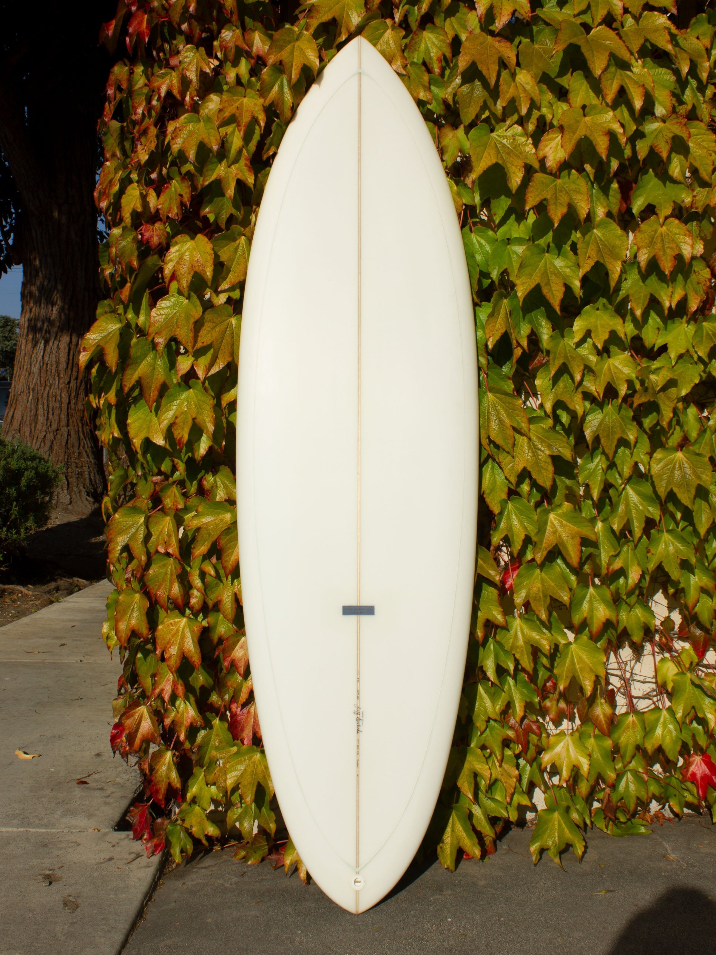 5'11 Jeff Svoboda Taroplane - Mollusk Surf Shop