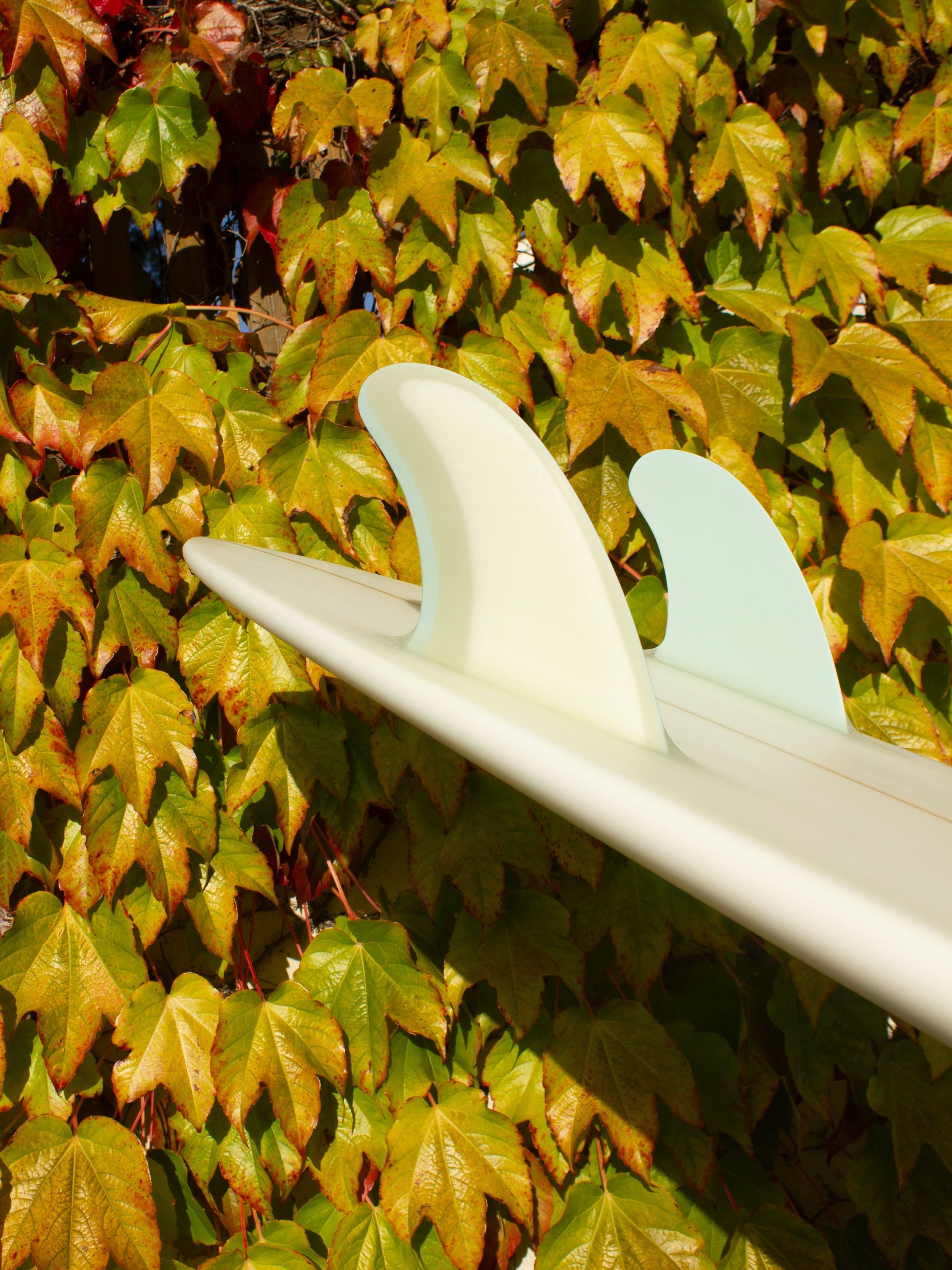 5'11 Jeff Svoboda Taroplane - Mollusk Surf Shop - description