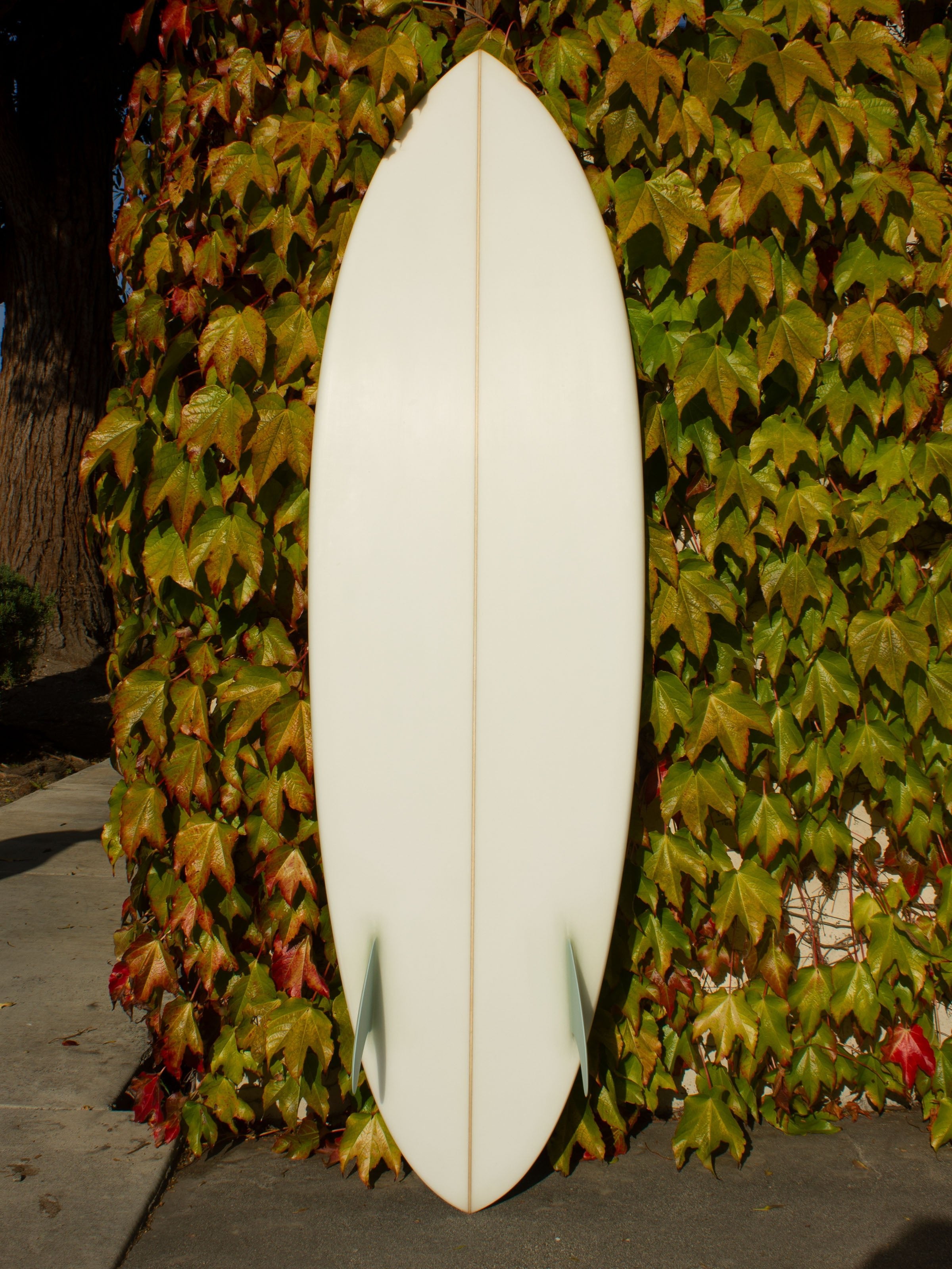 5'11 Jeff Svoboda Taroplane - Mollusk Surf Shop