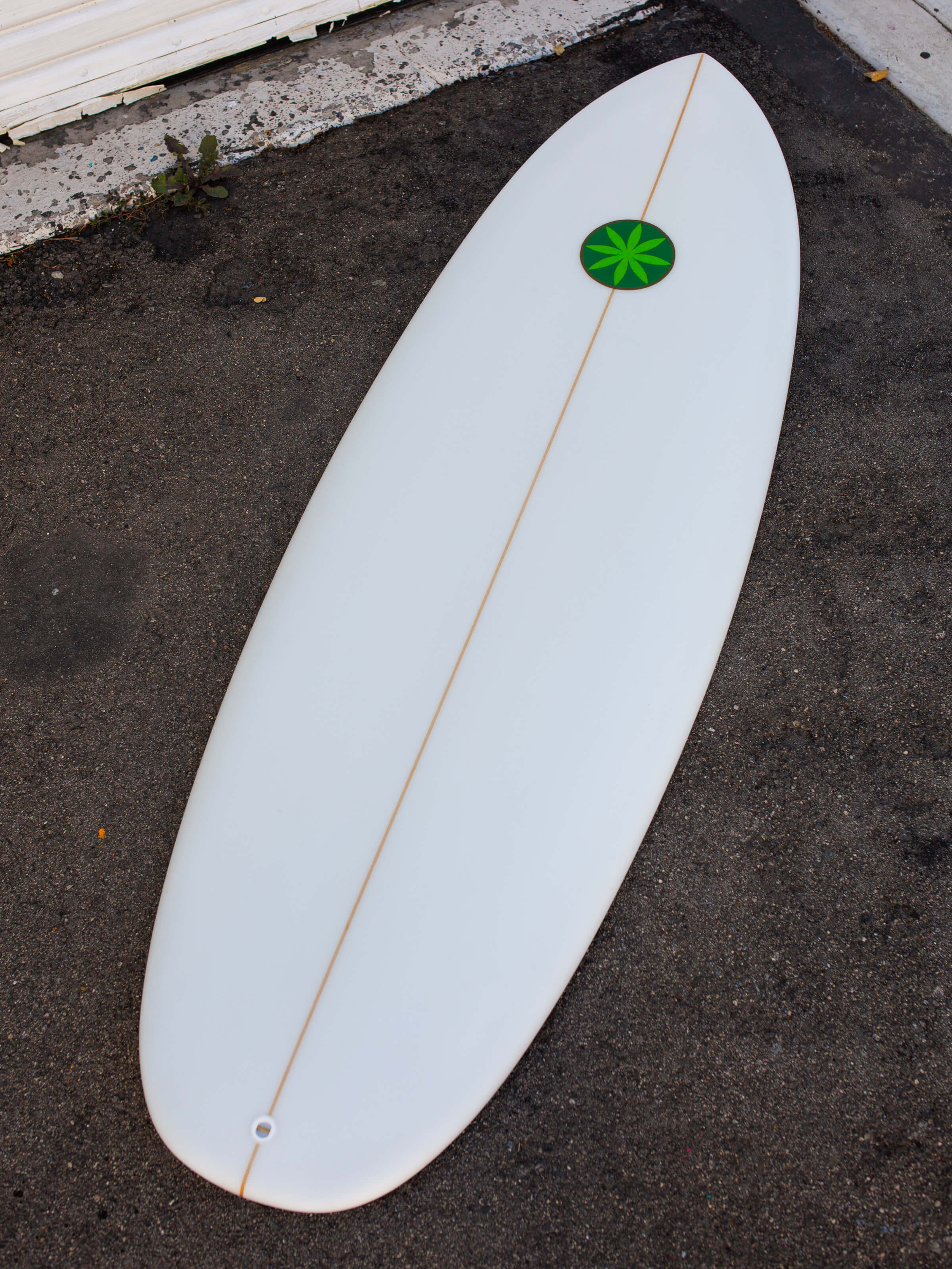 5'4 Hanel Pill - Mollusk Surf Shop