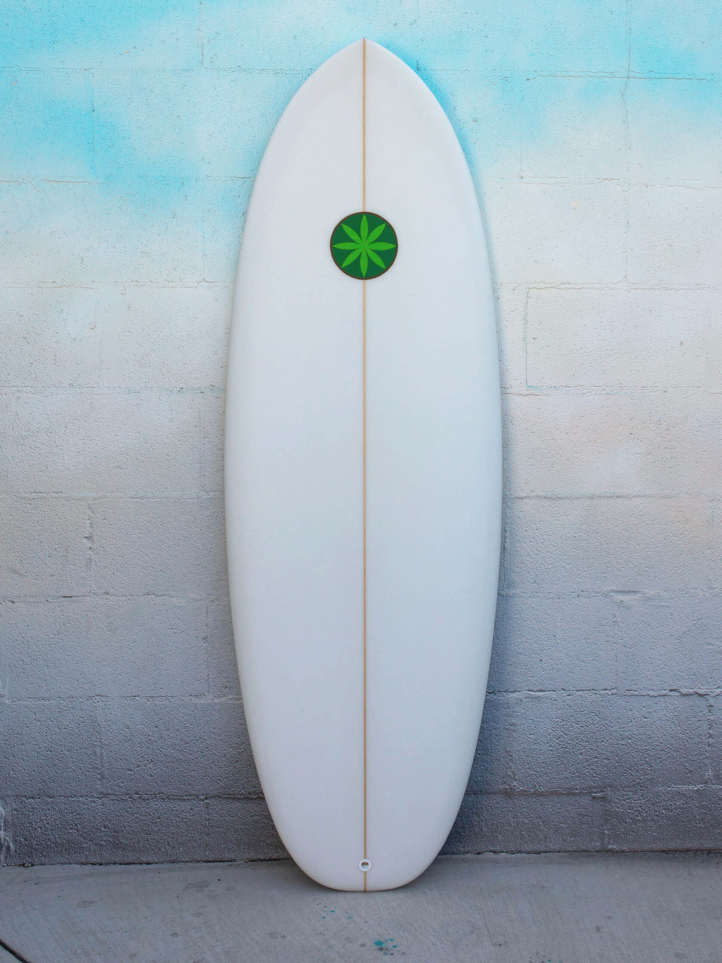 5'4 Hanel Pill - Mollusk Surf Shop