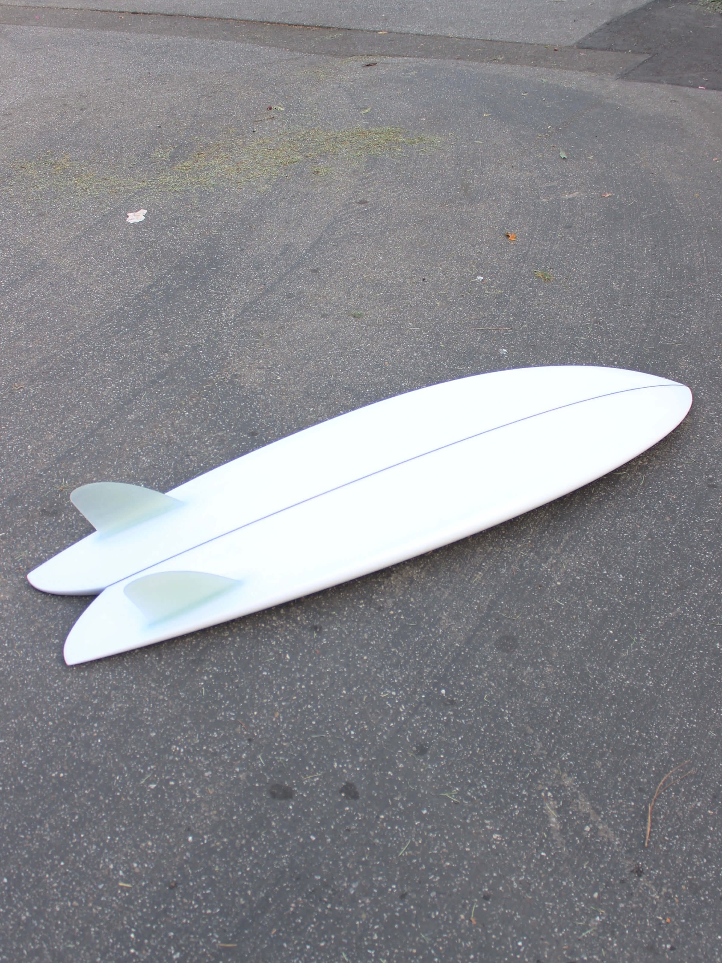 5'5 Arenal Fish - Mollusk Surf Shop