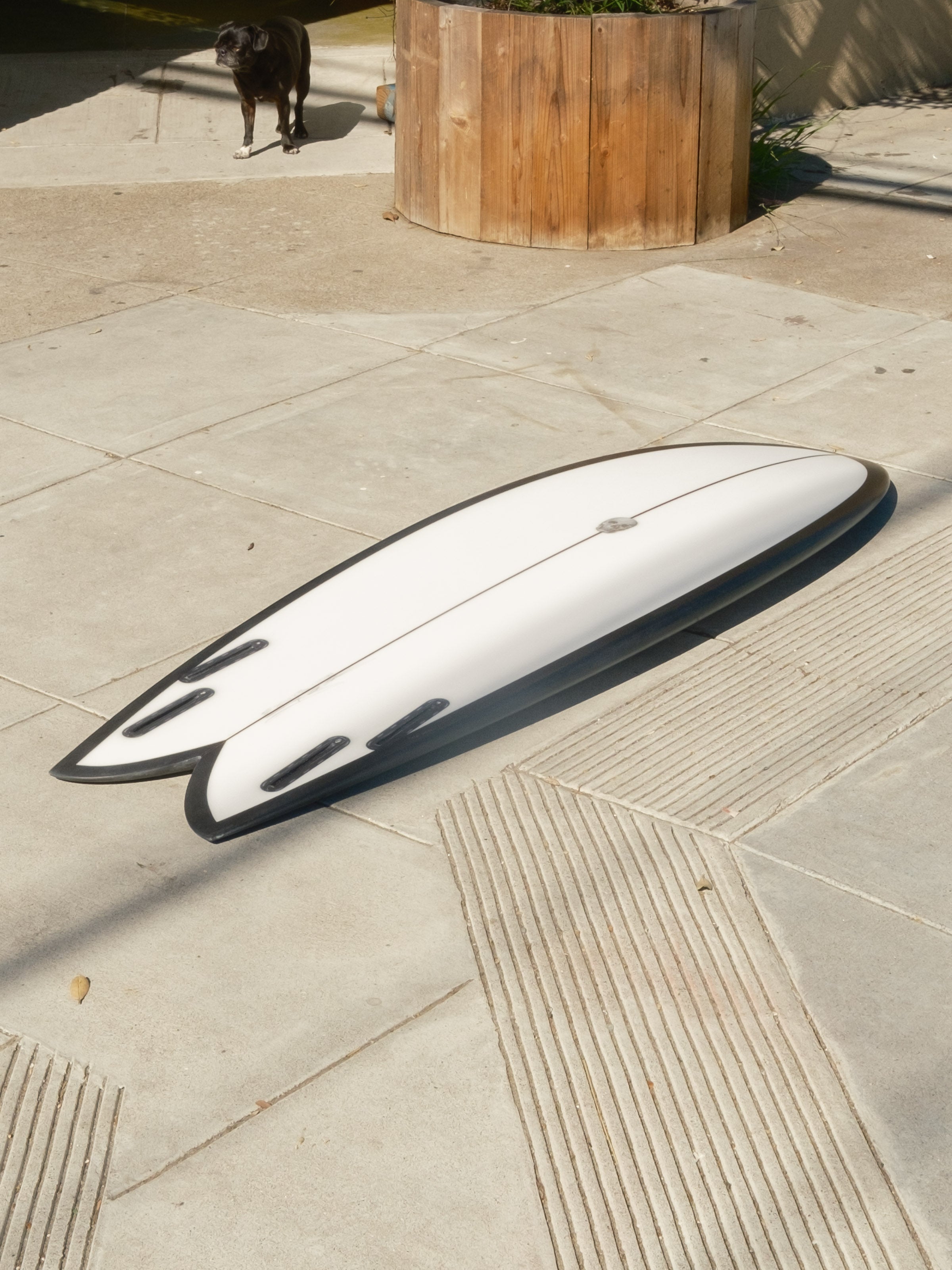 5'5 Christenson Myconaut - Mollusk Surf Shop