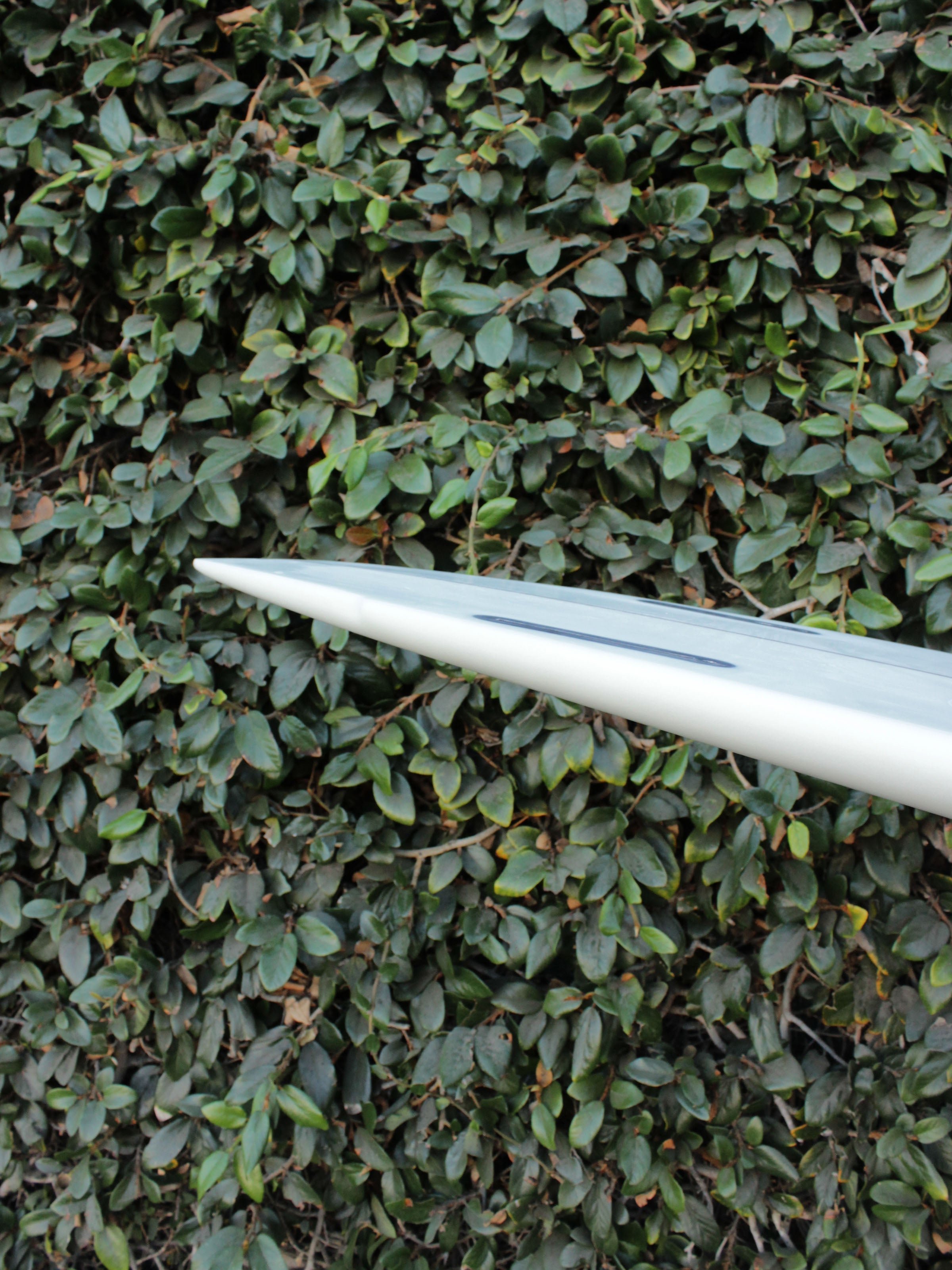 5'5 Radio Mod Twin - Mollusk Surf Shop - description