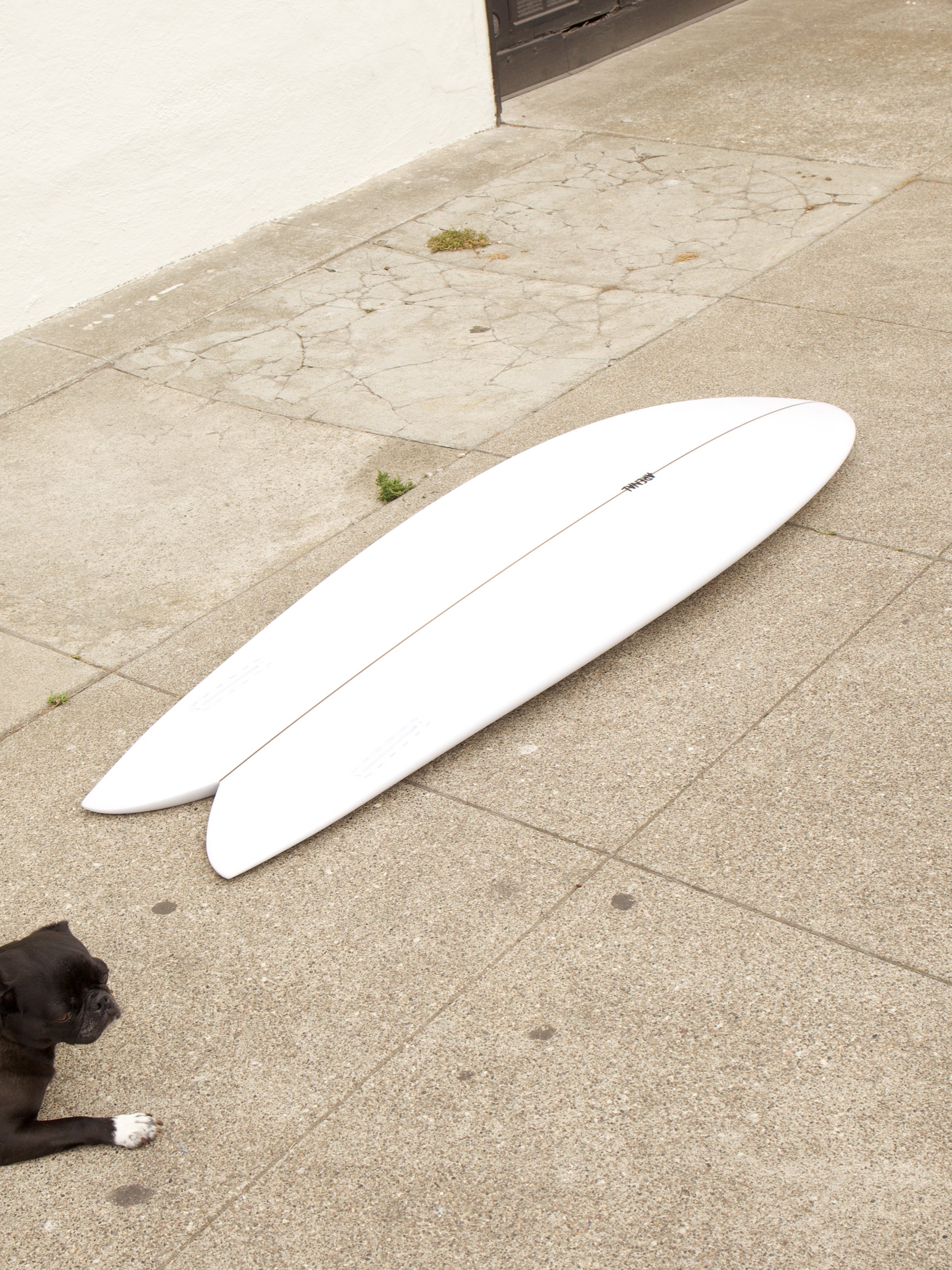 5'6 Arenal Sidecut Fish - Mollusk Surf Shop