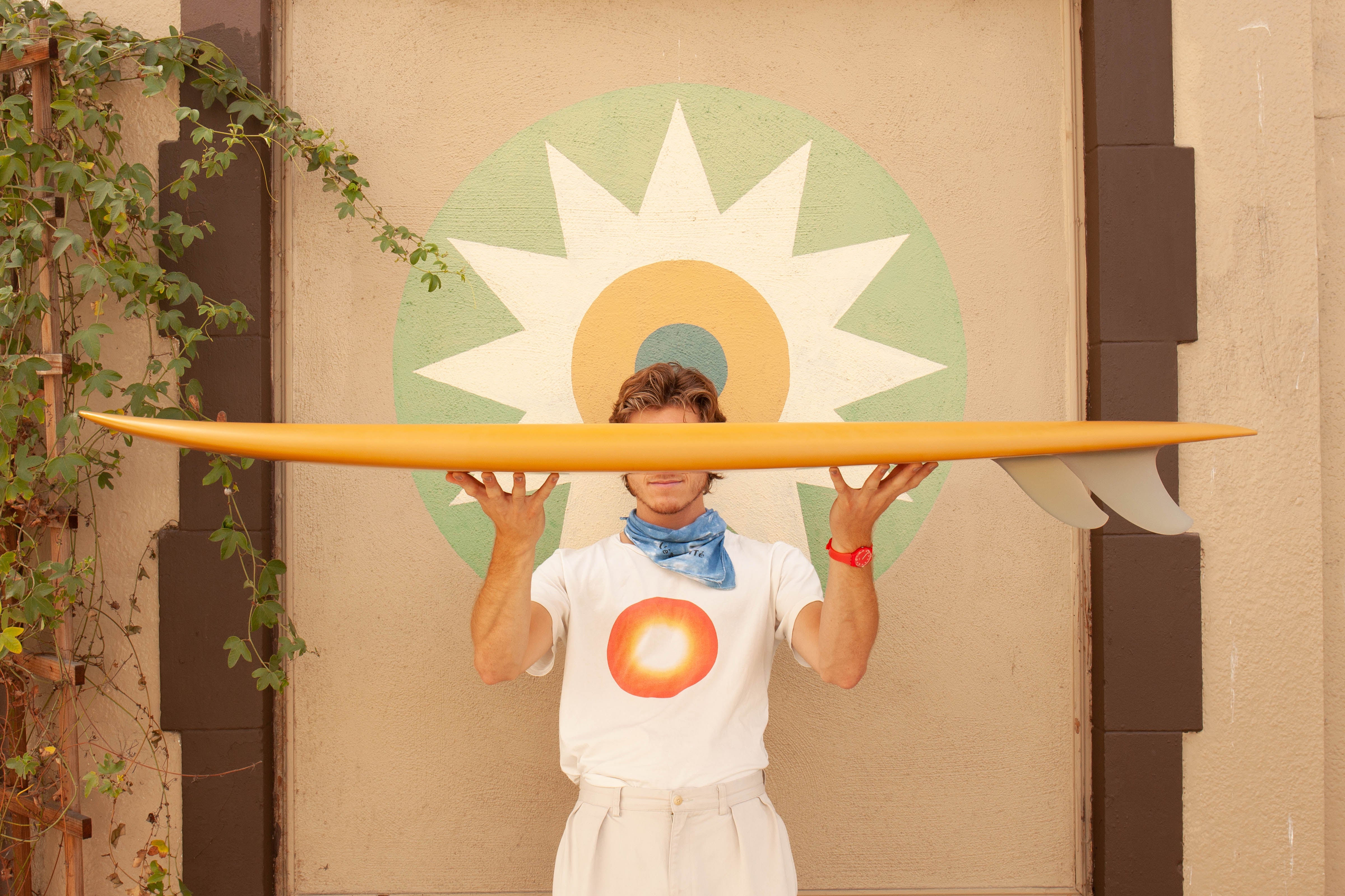 5'6 Furrow California Twin Fish - Mollusk Surf Shop