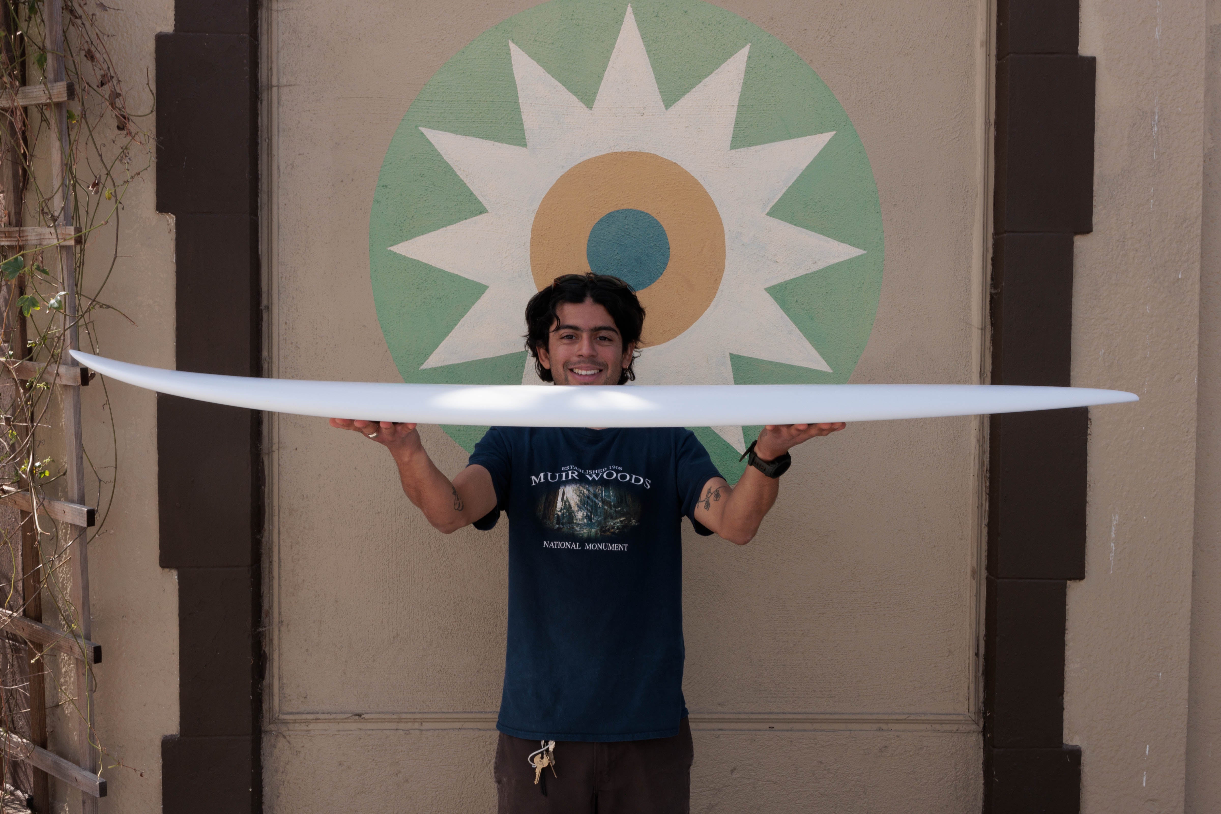 5'6 Hanel C-Fish - Mollusk Surf Shop