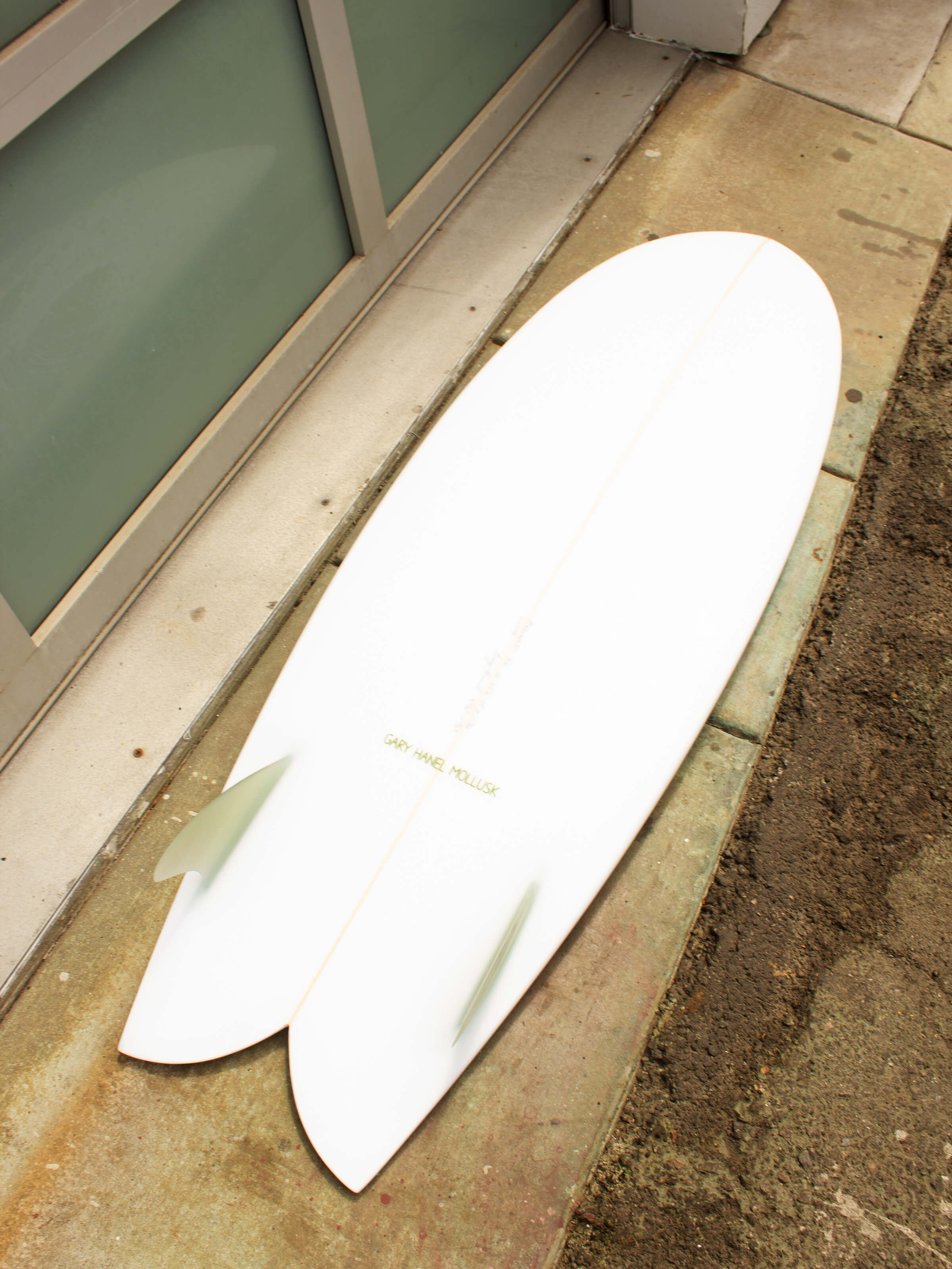 5'6 Hanel C Fish - Mollusk Surf Shop