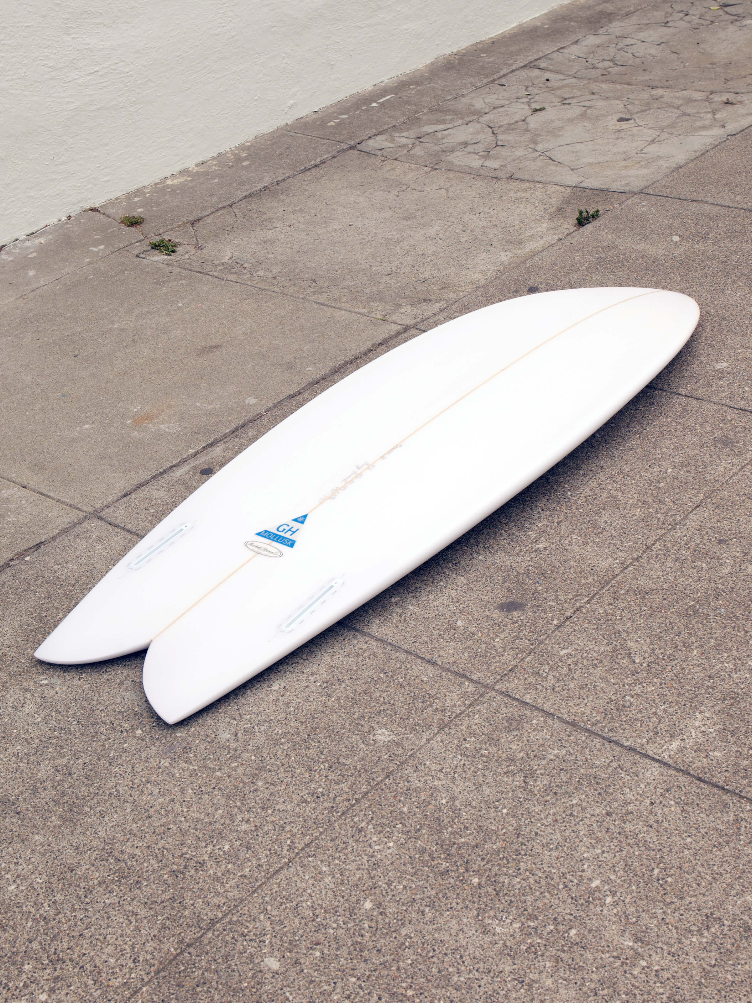 5'6 Hanel C-Fish - Mollusk Surf Shop
