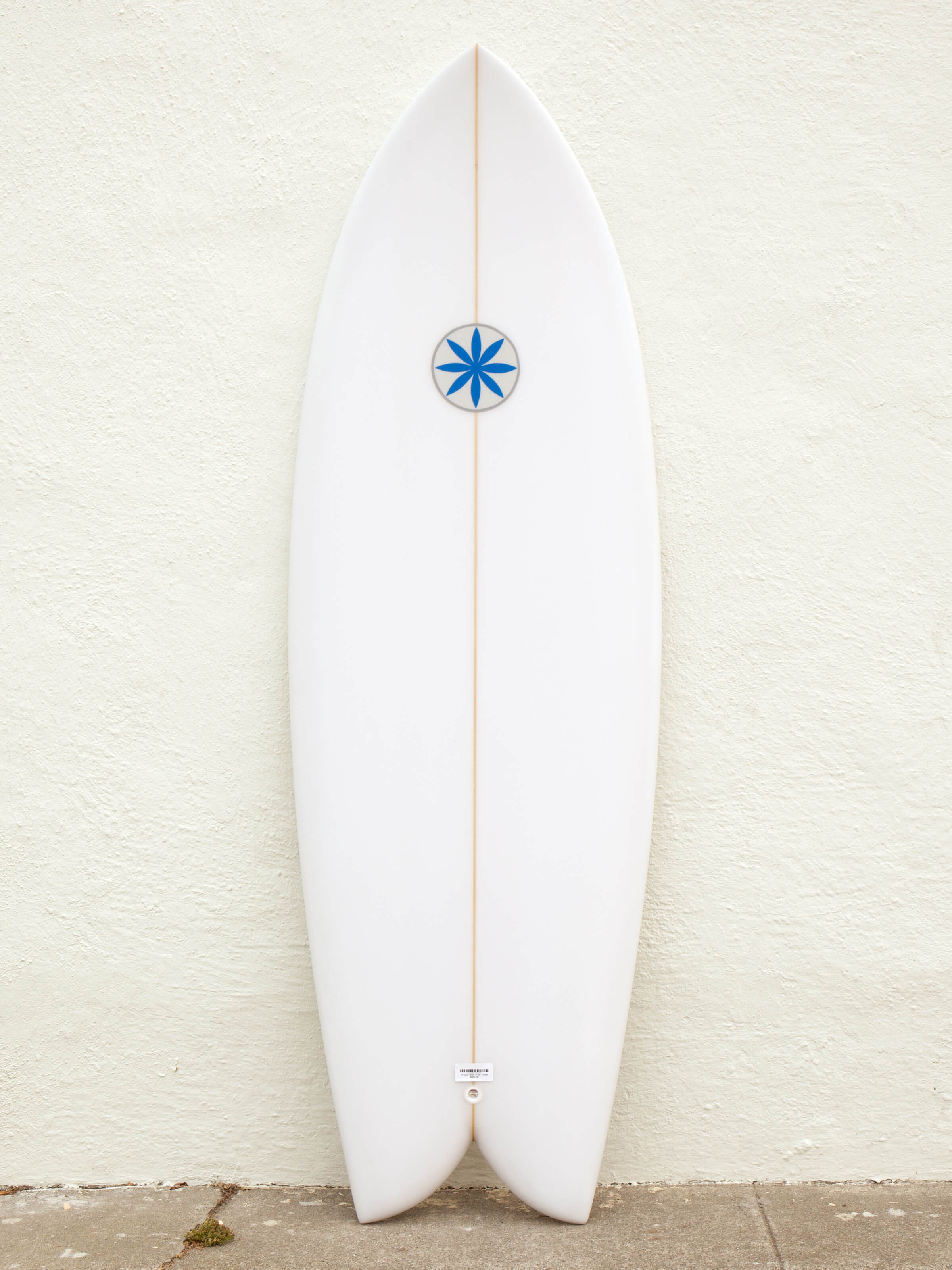 5'6 Hanel C-Fish - Mollusk Surf Shop