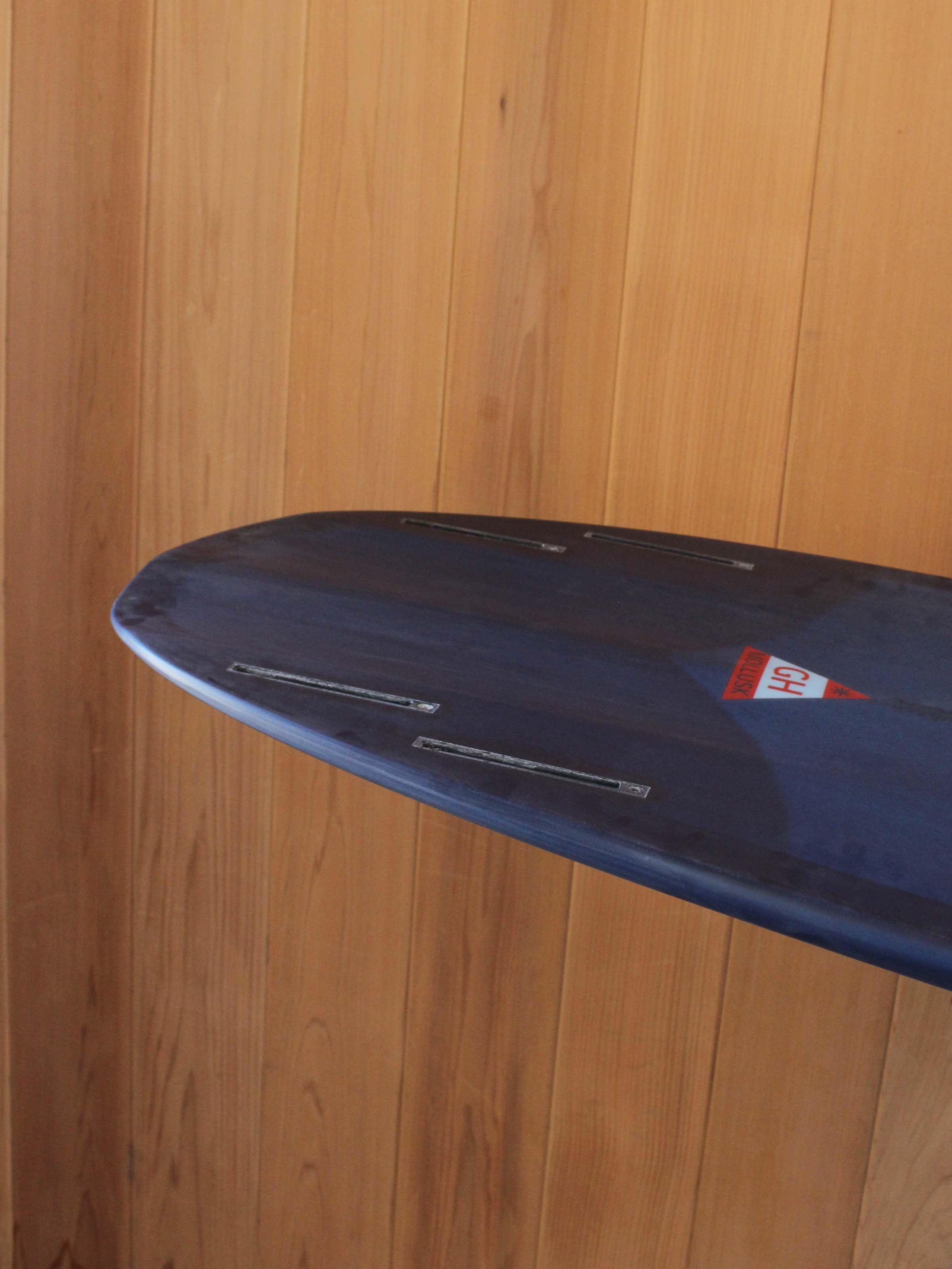 5'6 Hanel Pill - Mollusk Surf Shop - description