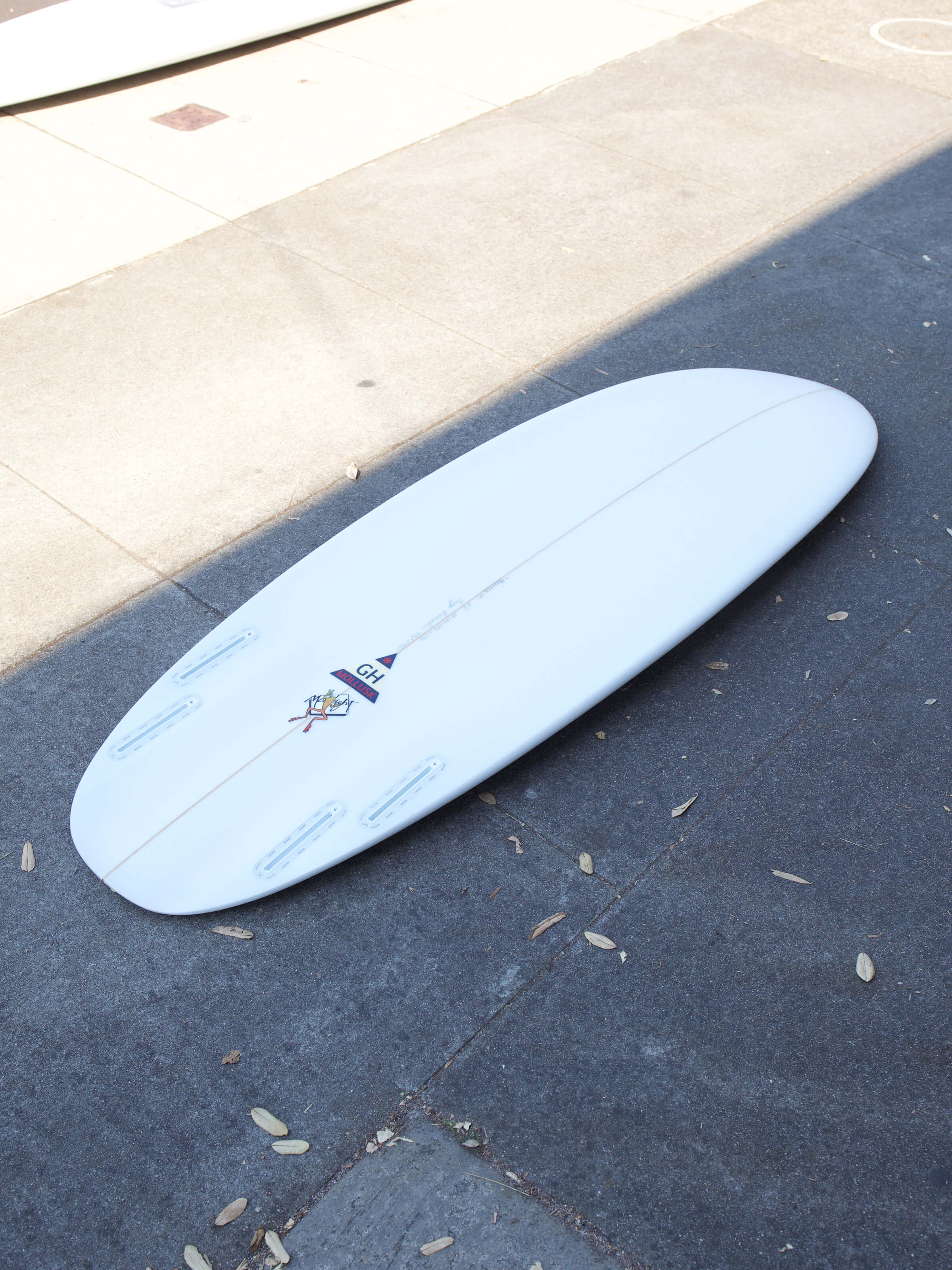 5'6 Hanel Pill - Mollusk Surf Shop