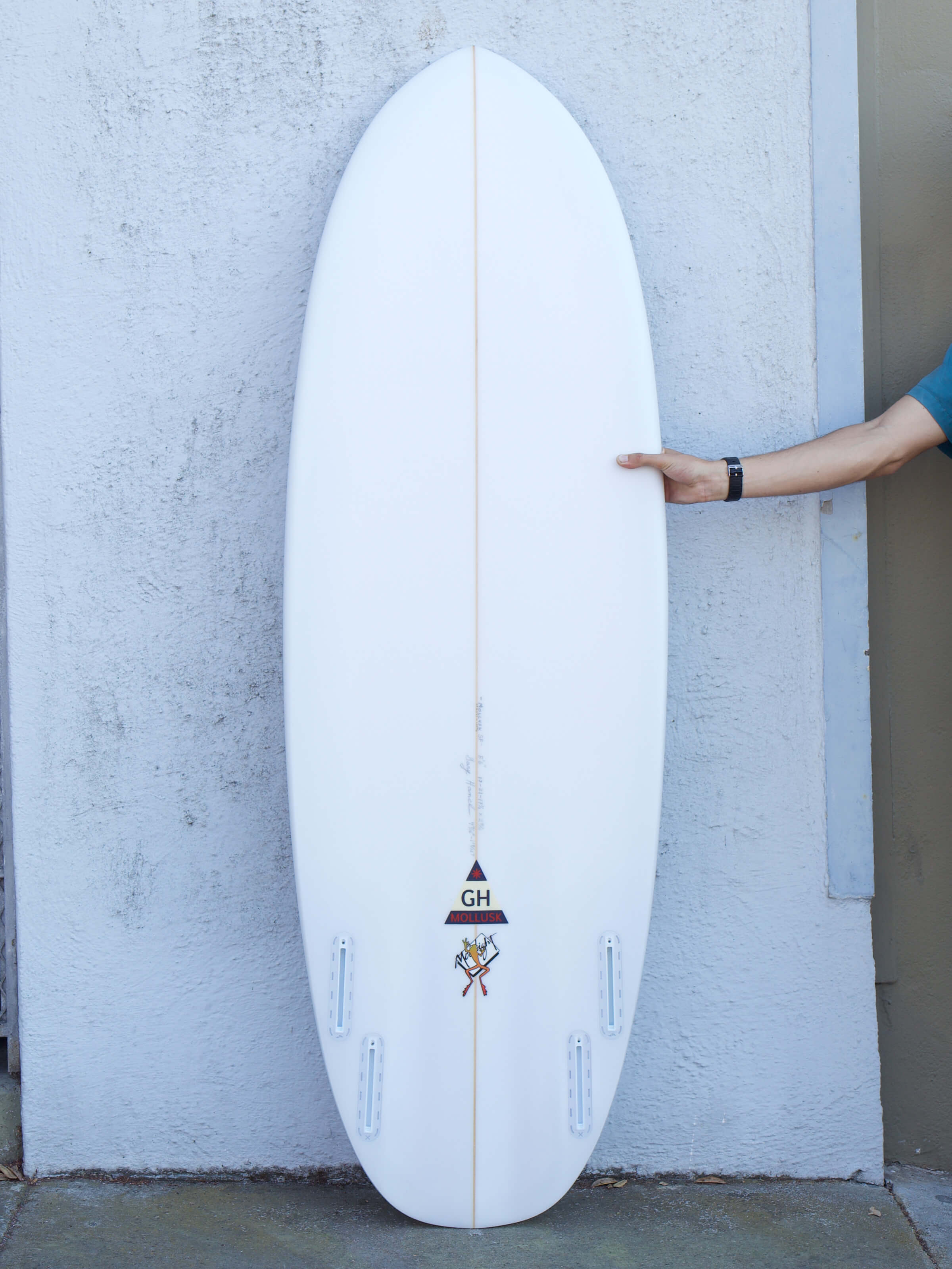 5'6 Hanel Pill - Mollusk Surf Shop