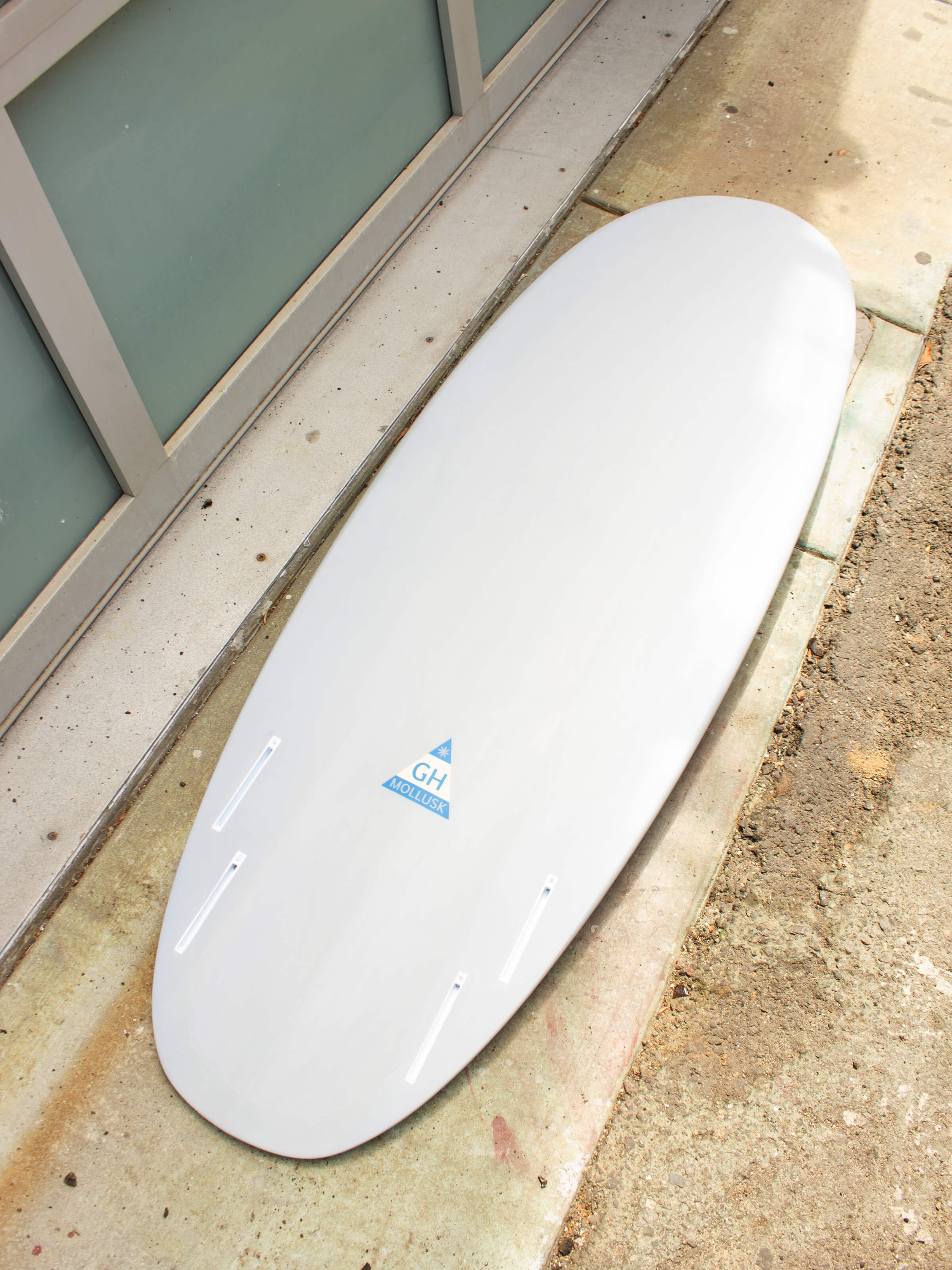 5'6 Hanel Pill - Mollusk Surf Shop