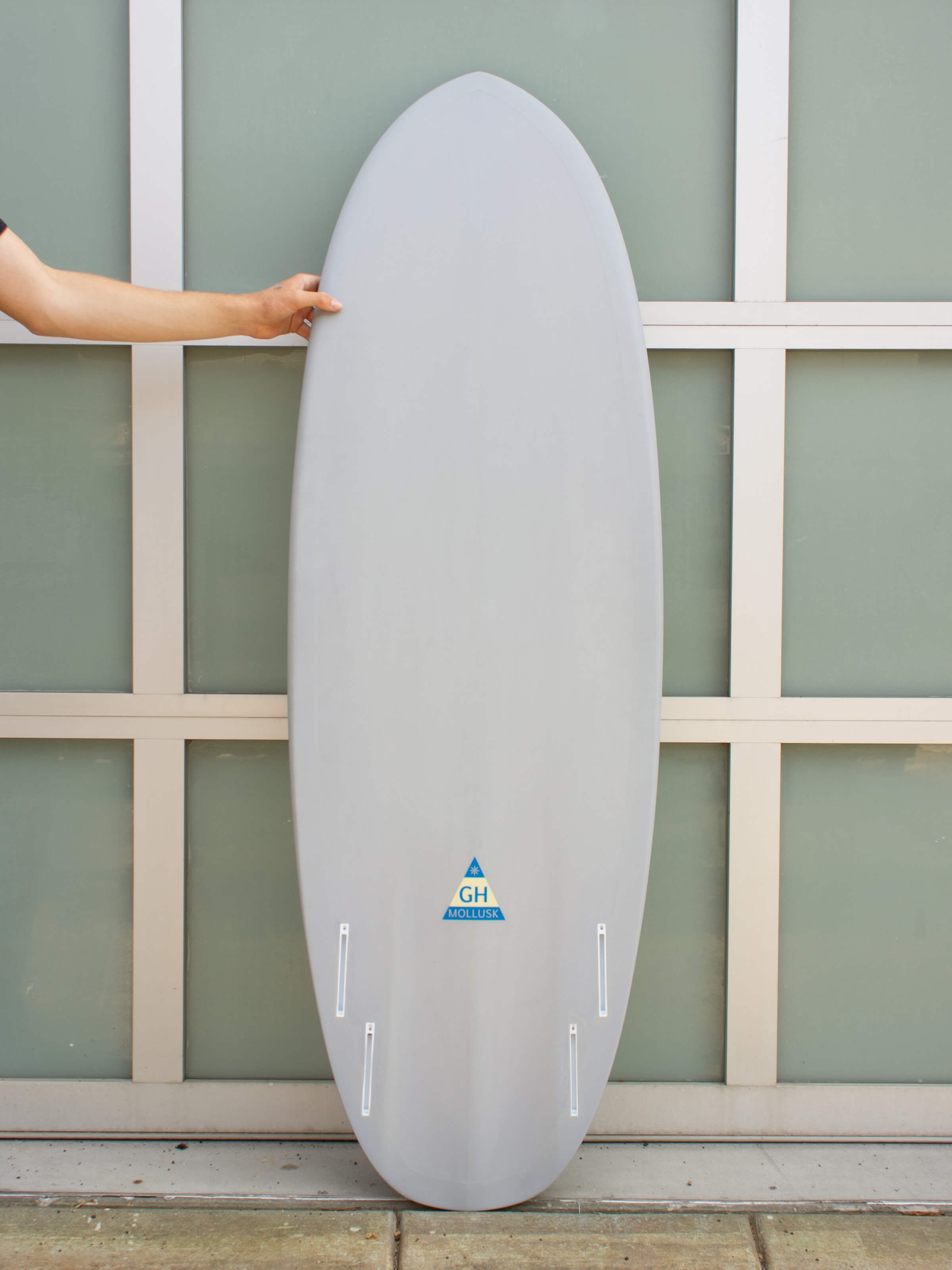 5'6 Hanel Pill - Mollusk Surf Shop
