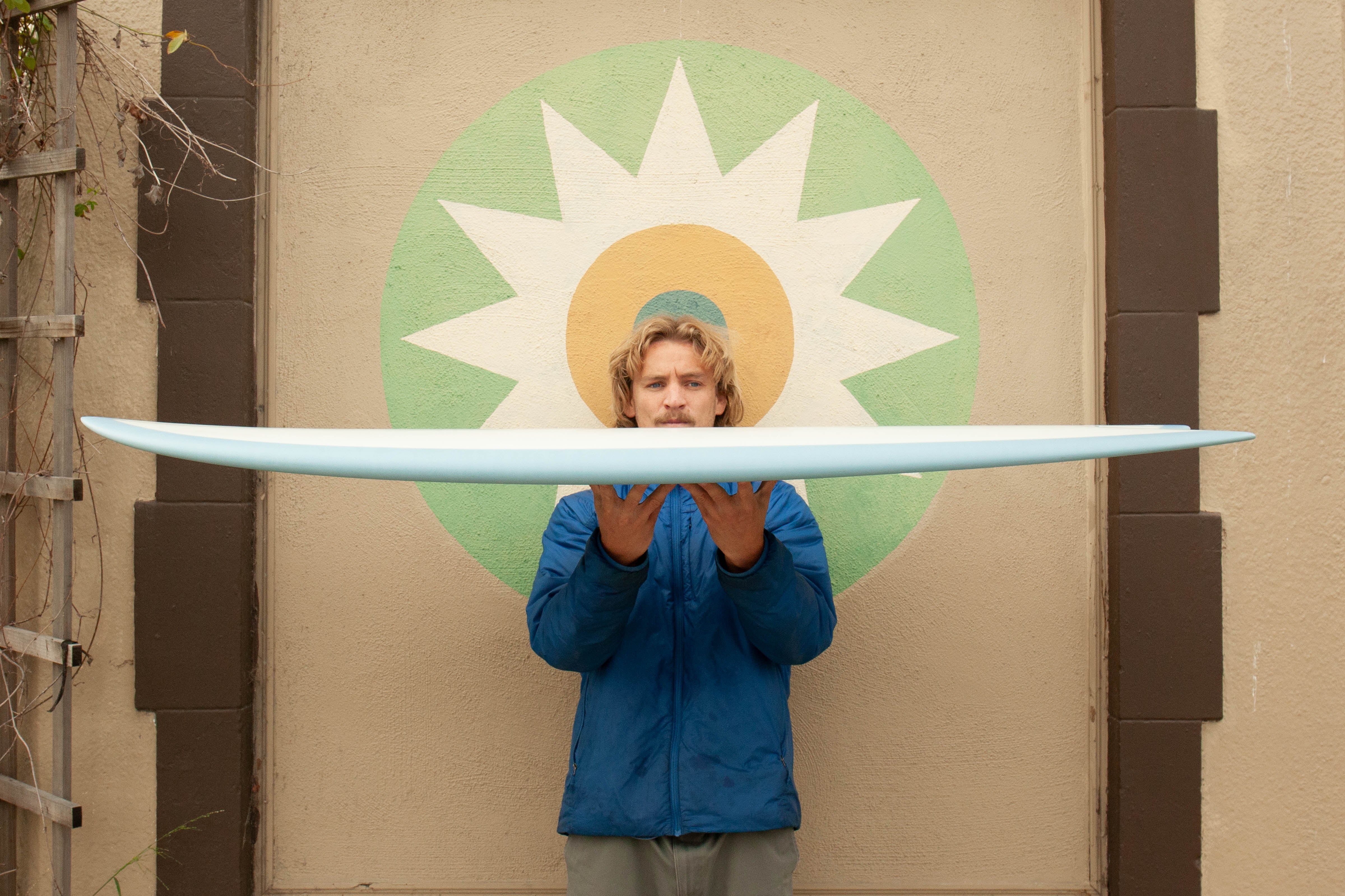 5'6 Radio Classic Fish - Dolphin - Mollusk Surf Shop