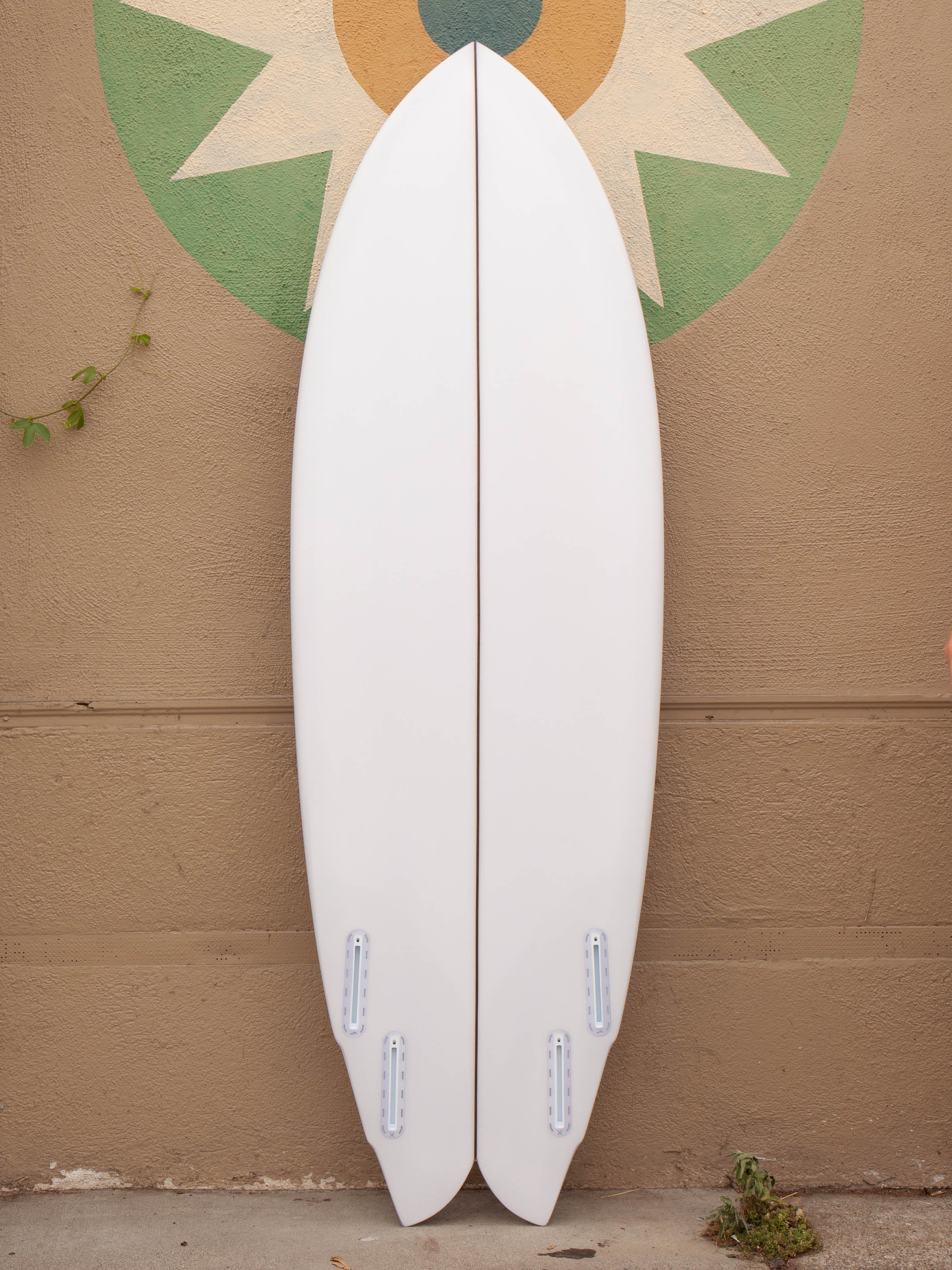 5'6 Rainbow Quad - Mollusk Surf Shop