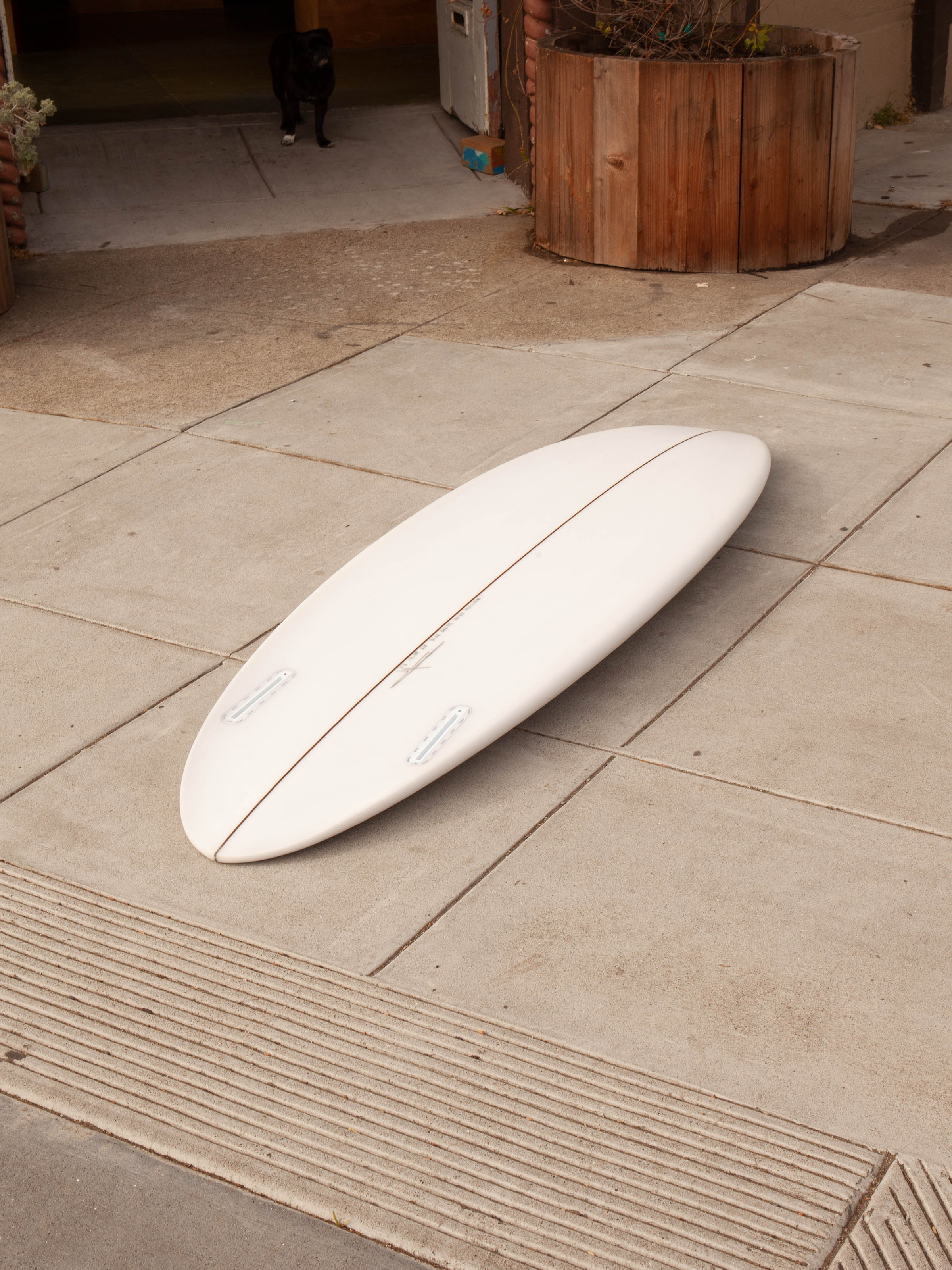 5'6 Son of Cobra Round Twin - Mollusk Surf Shop