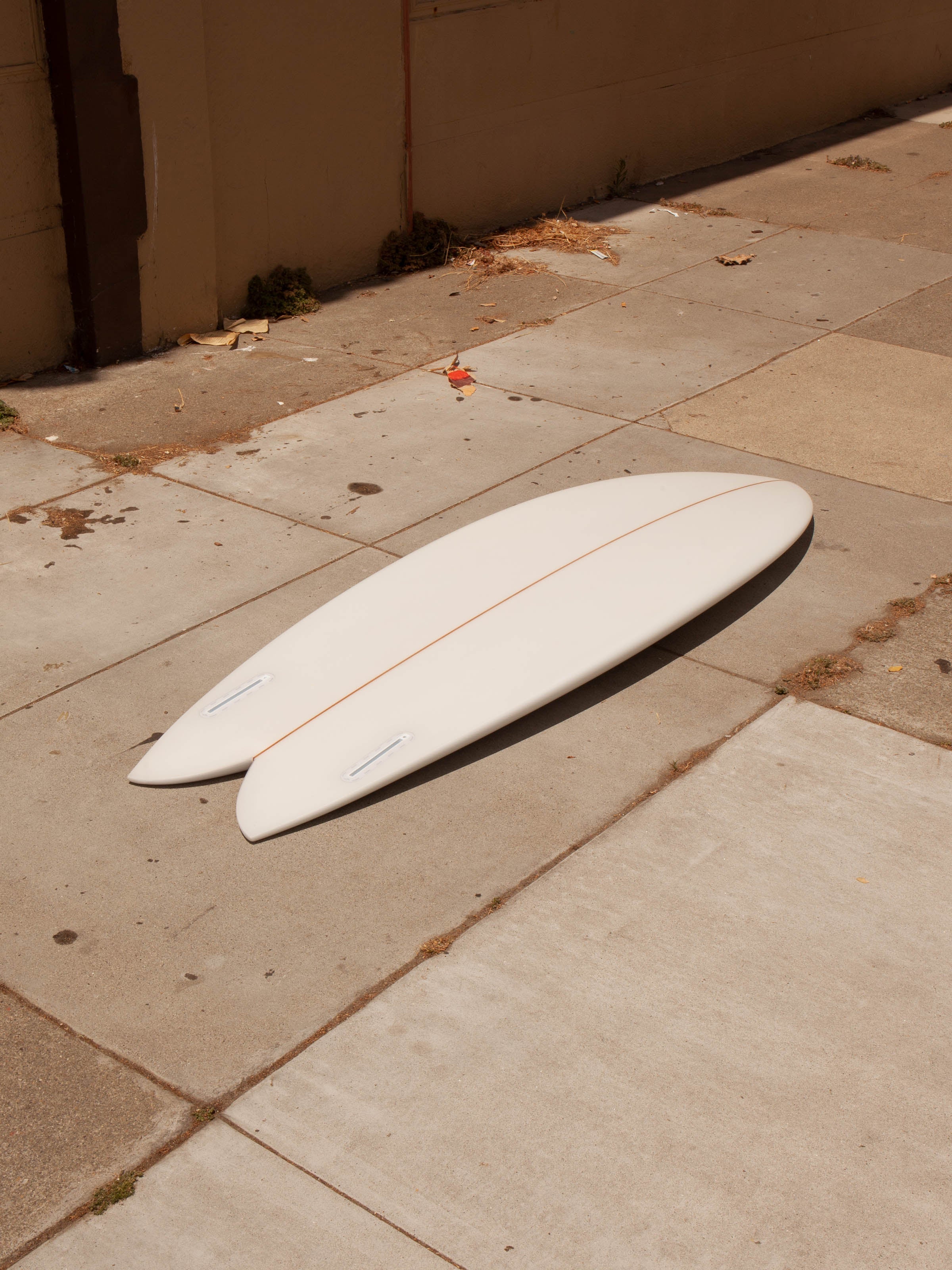 5'6 Tyler Warren Dream Fish - Mollusk Surf Shop